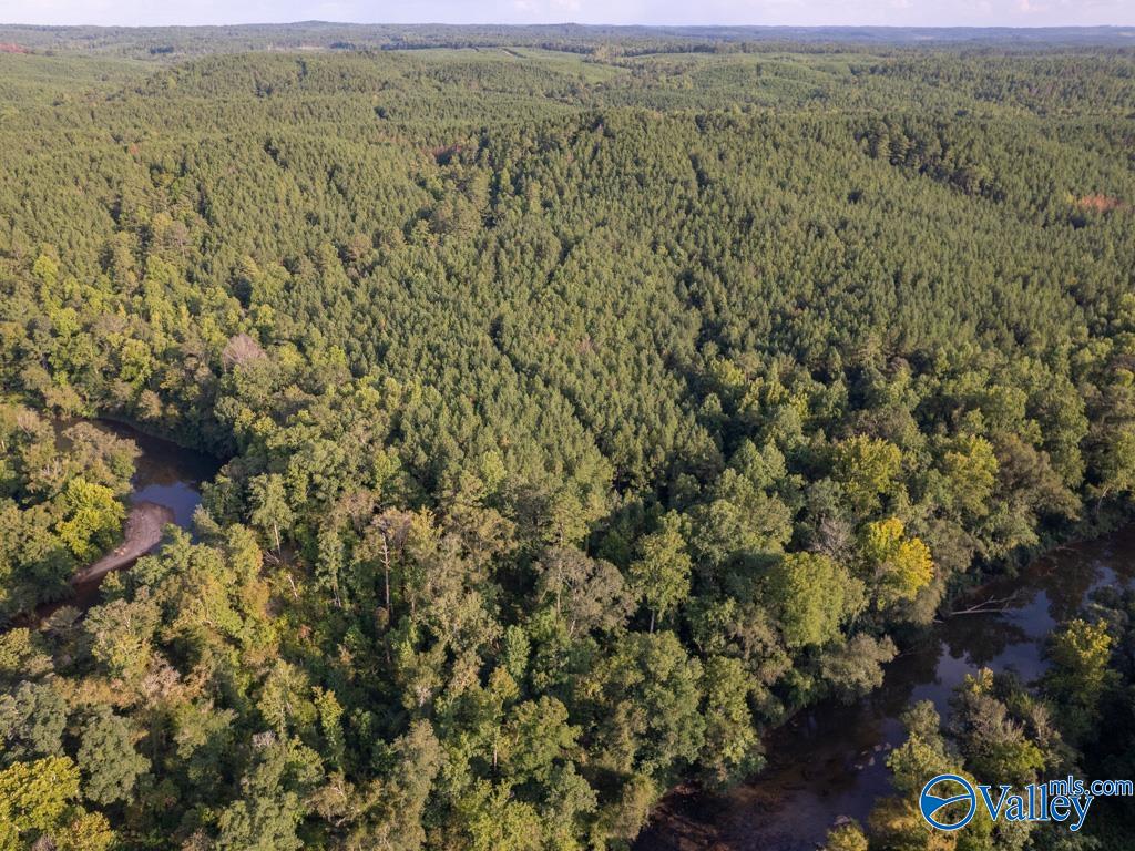 67 Acres Off County Road 22, Rockford, Alabama image 2