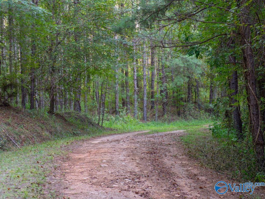 67 Acres Off County Road 22, Rockford, Alabama image 1