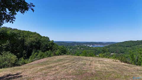 Vacant Land For Sale - TRACTS 4&5 Rocky Branch Road<br/> Guntersville, AL 35976