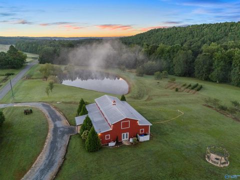 Vacant Land For Sale - 4908 Hopper Road<br/> Etowah County, Altoona, AL 35952