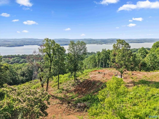 KEENE POINT DR, GRANT, AL 35747 - Image d7a63c092a77cb566d6fdef5963e70b8/3718437584