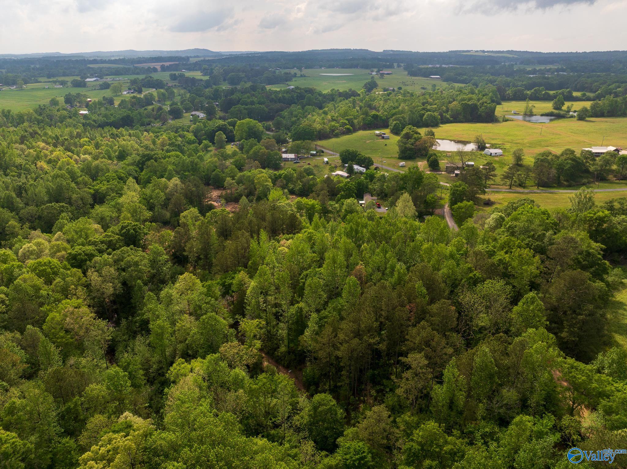 9.10+ ACRES Pleasant Grove Road, Horton, Alabama image 4