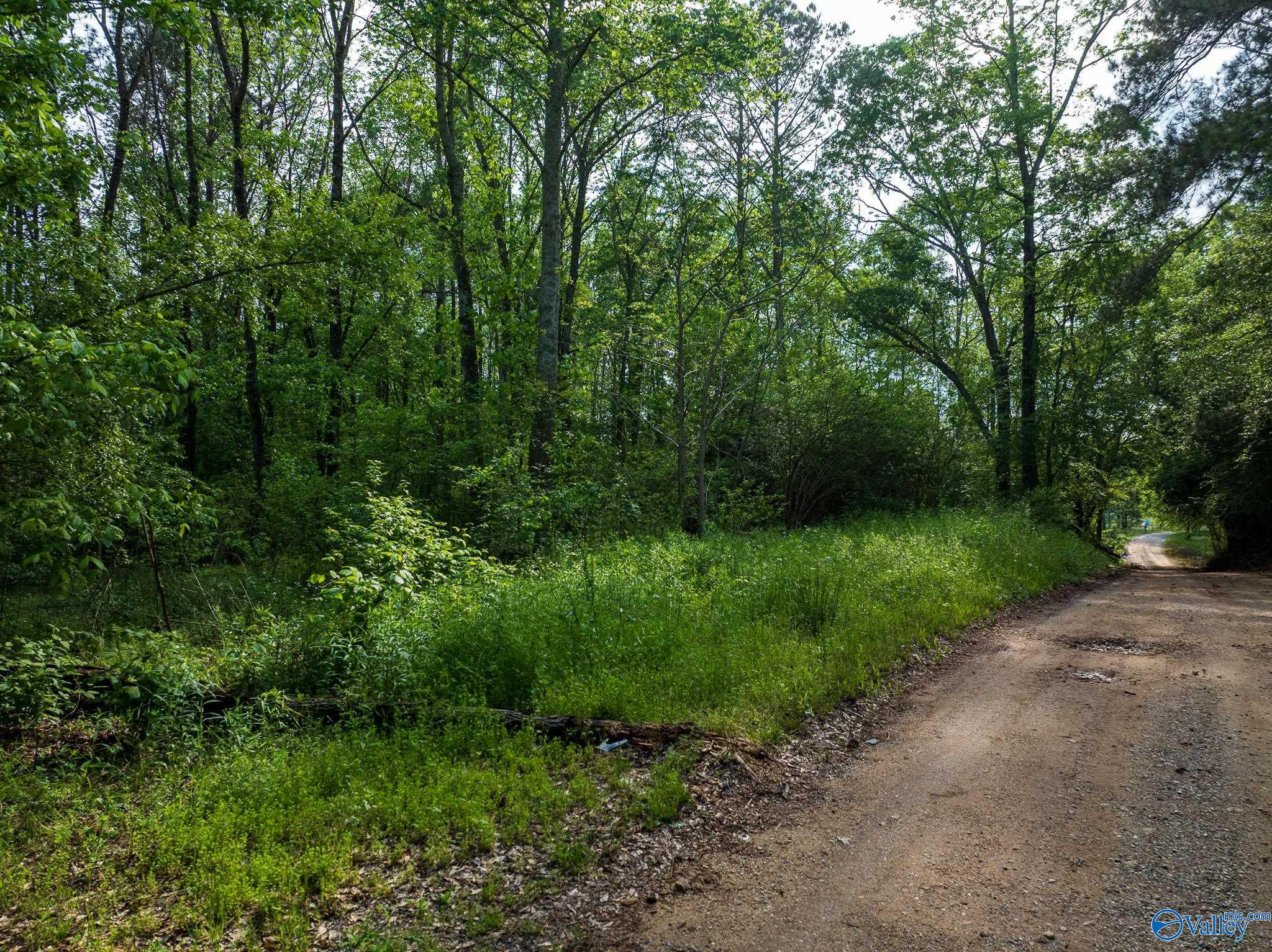 9.10+ ACRES Pleasant Grove Road, Horton, Alabama image 22