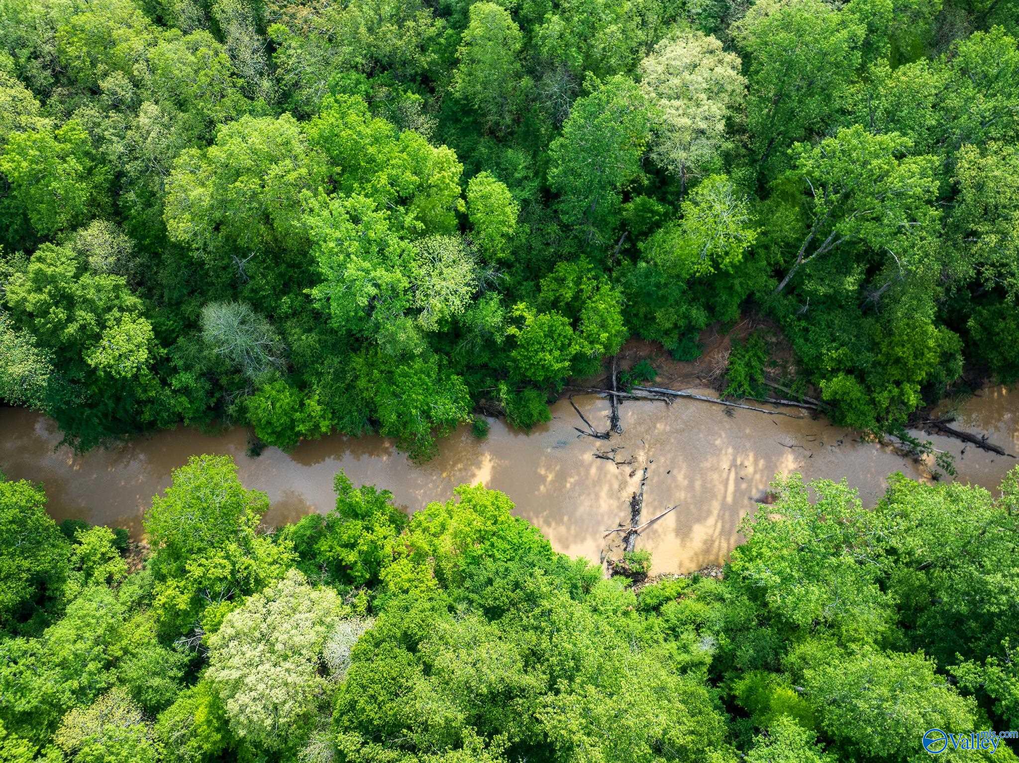 9.10+ ACRES Pleasant Grove Road, Horton, Alabama image 6