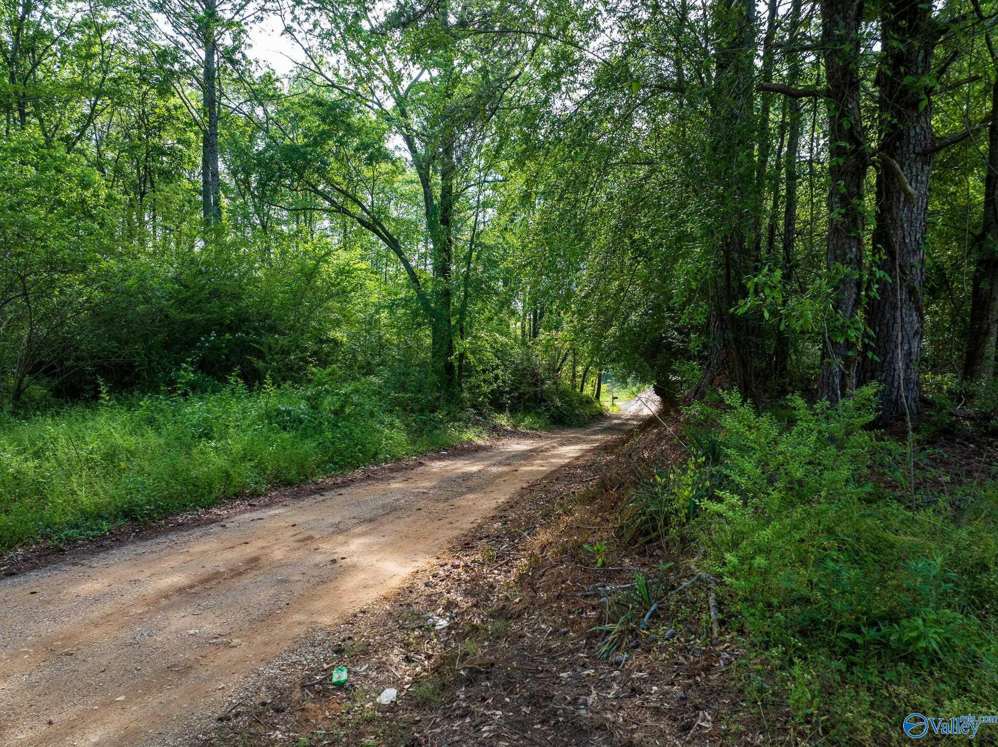 9.10+ ACRES Pleasant Grove Road, Horton, Alabama image 17
