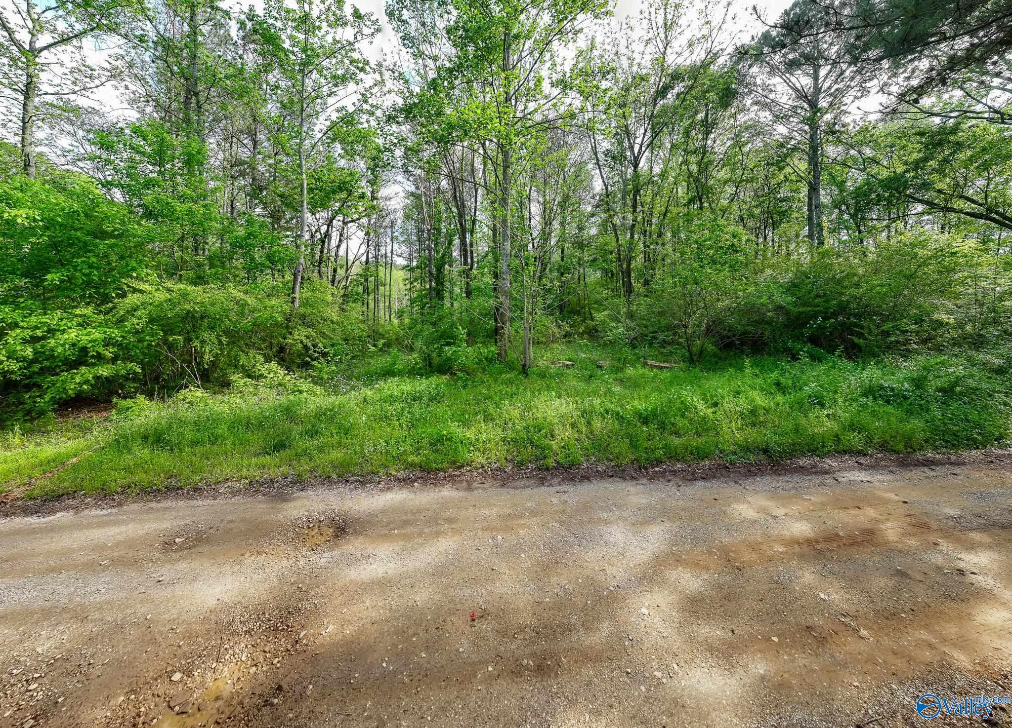 9.10+ ACRES Pleasant Grove Road, Horton, Alabama image 18