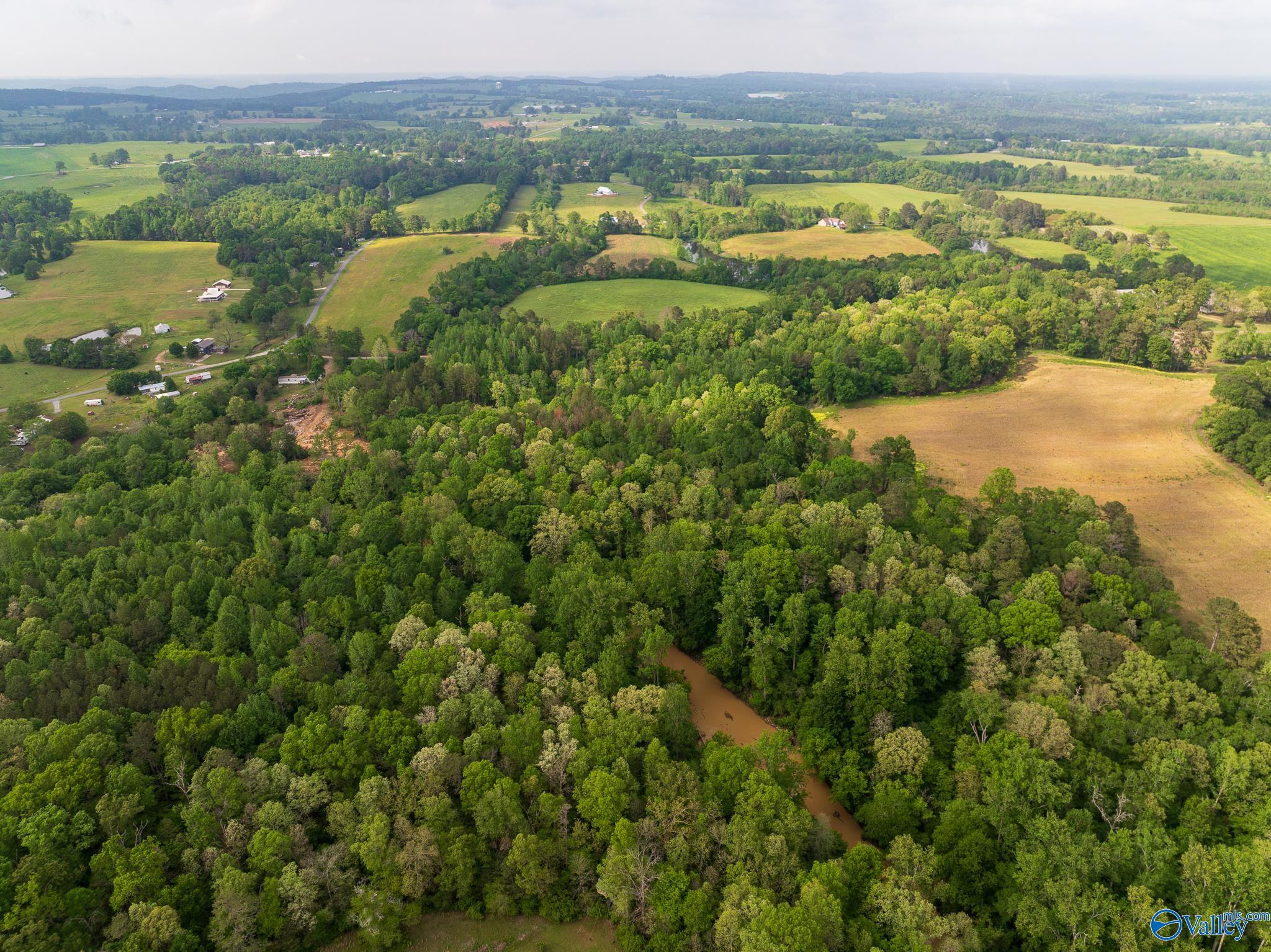 9.10+ ACRES Pleasant Grove Road, Horton, Alabama image 2