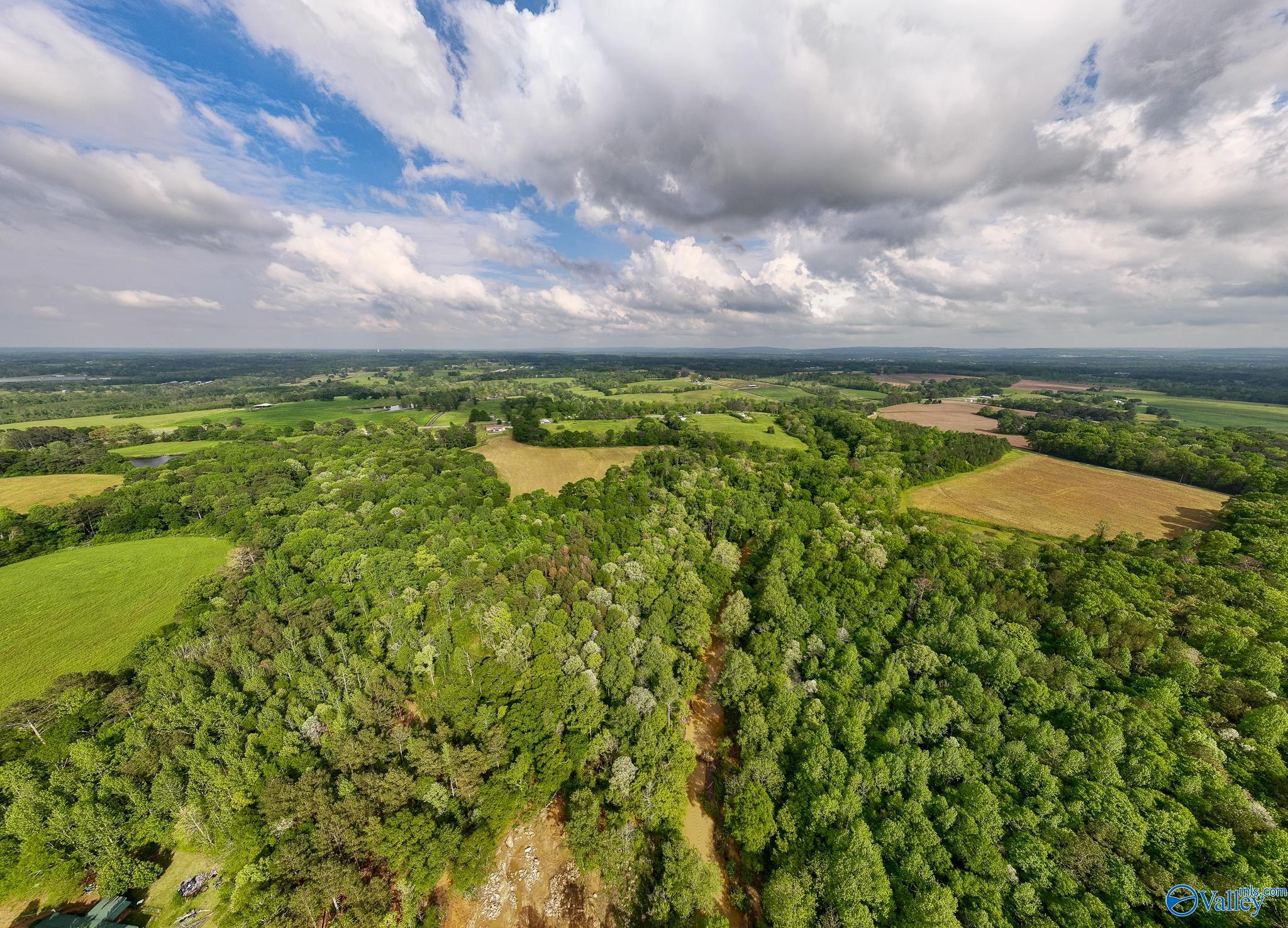 9.10+ ACRES Pleasant Grove Road, Horton, Alabama image 11