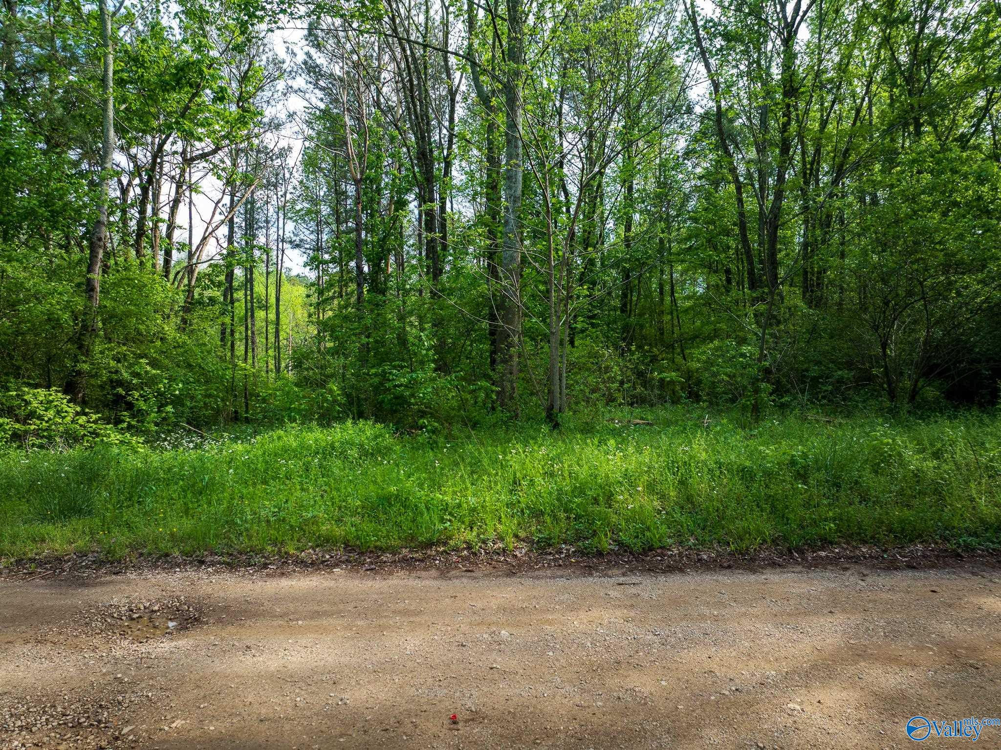 9.10+ ACRES Pleasant Grove Road, Horton, Alabama image 16