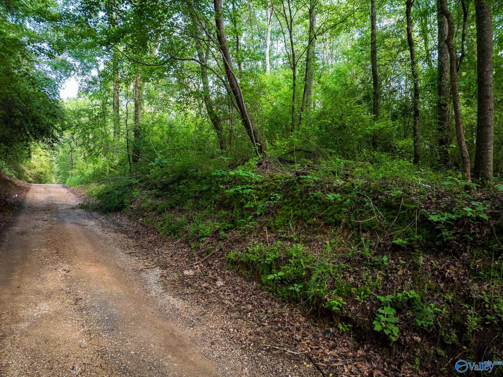 9.10+ ACRES Pleasant Grove Road, Horton, Alabama image 20
