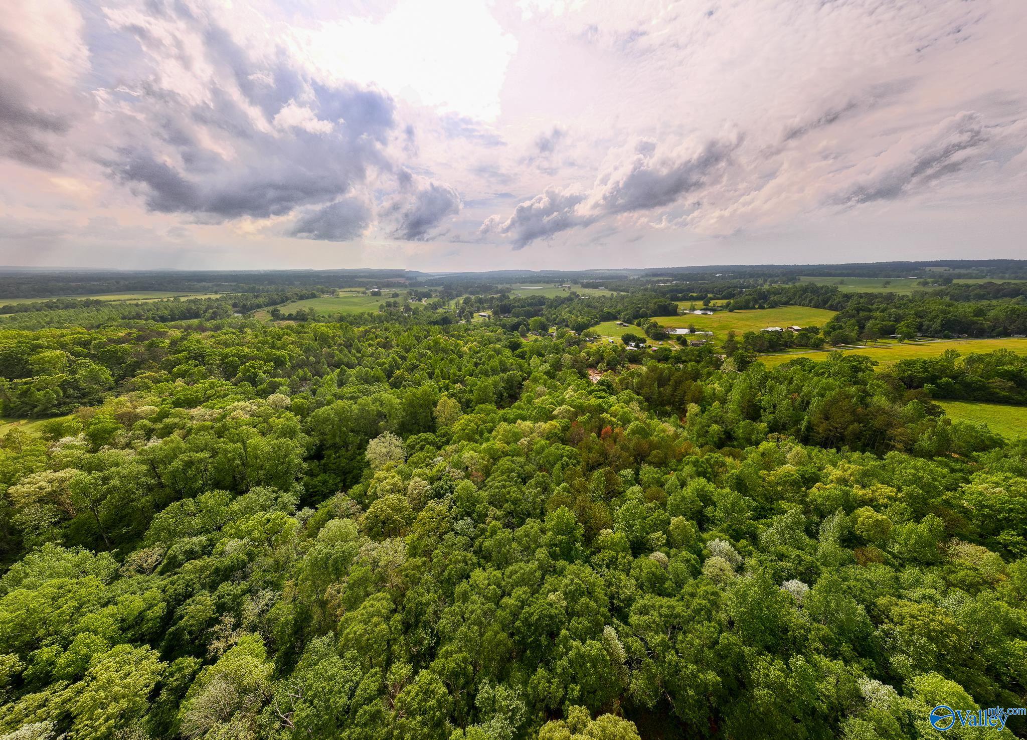 9.10+ ACRES Pleasant Grove Road, Horton, Alabama image 13