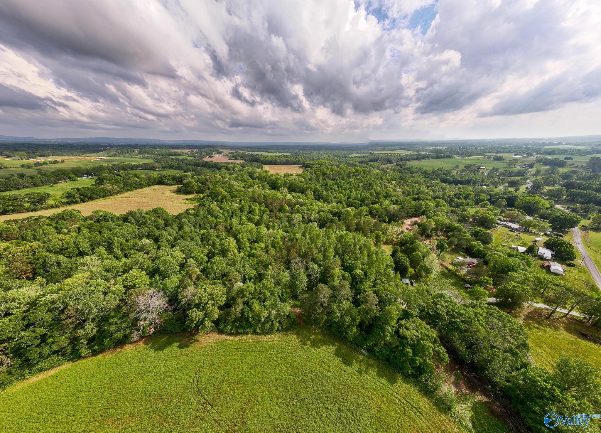 9.10+ ACRES Pleasant Grove Road, Horton, Alabama image 9