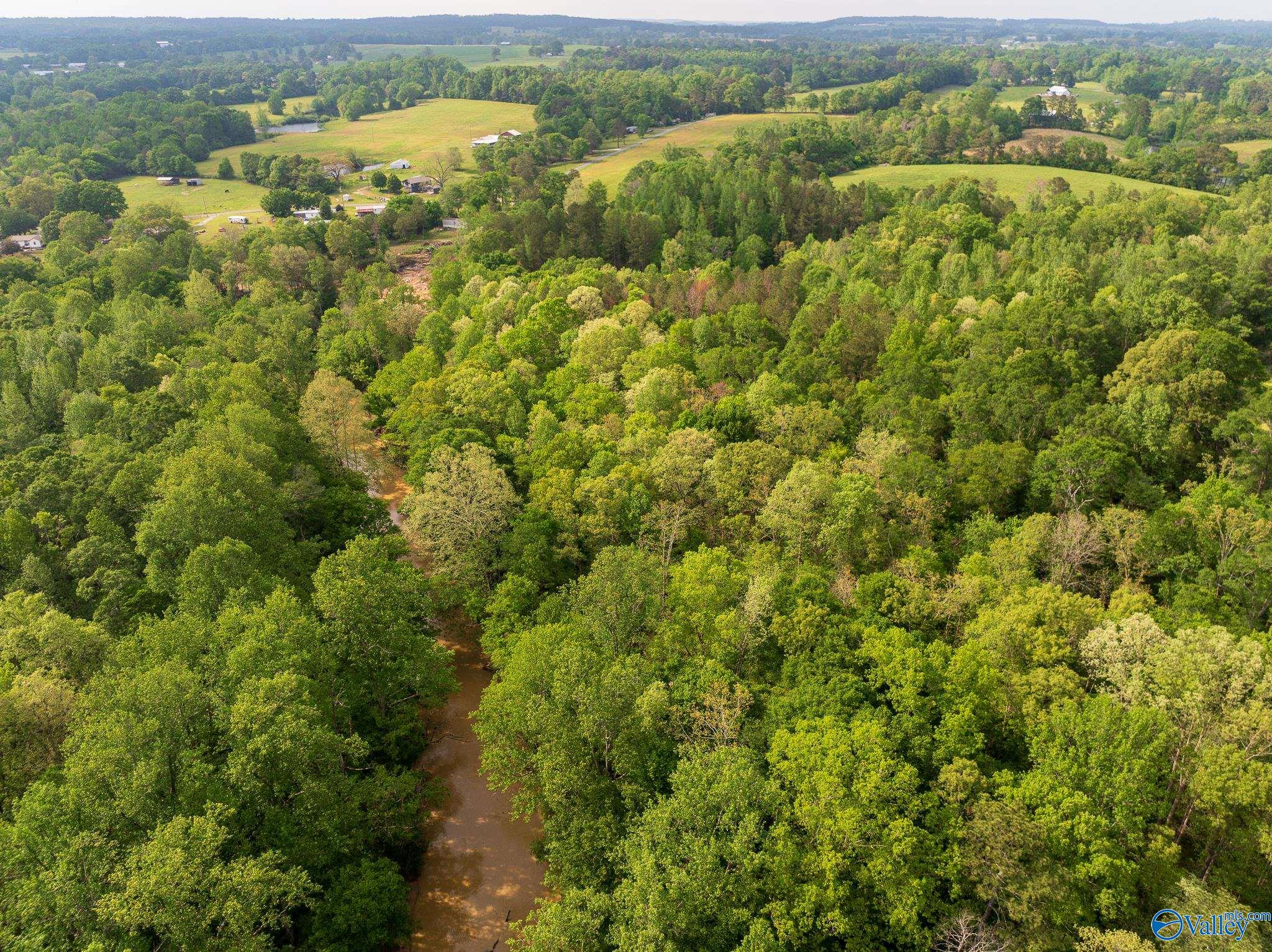9.10+ ACRES Pleasant Grove Road, Horton, Alabama image 7