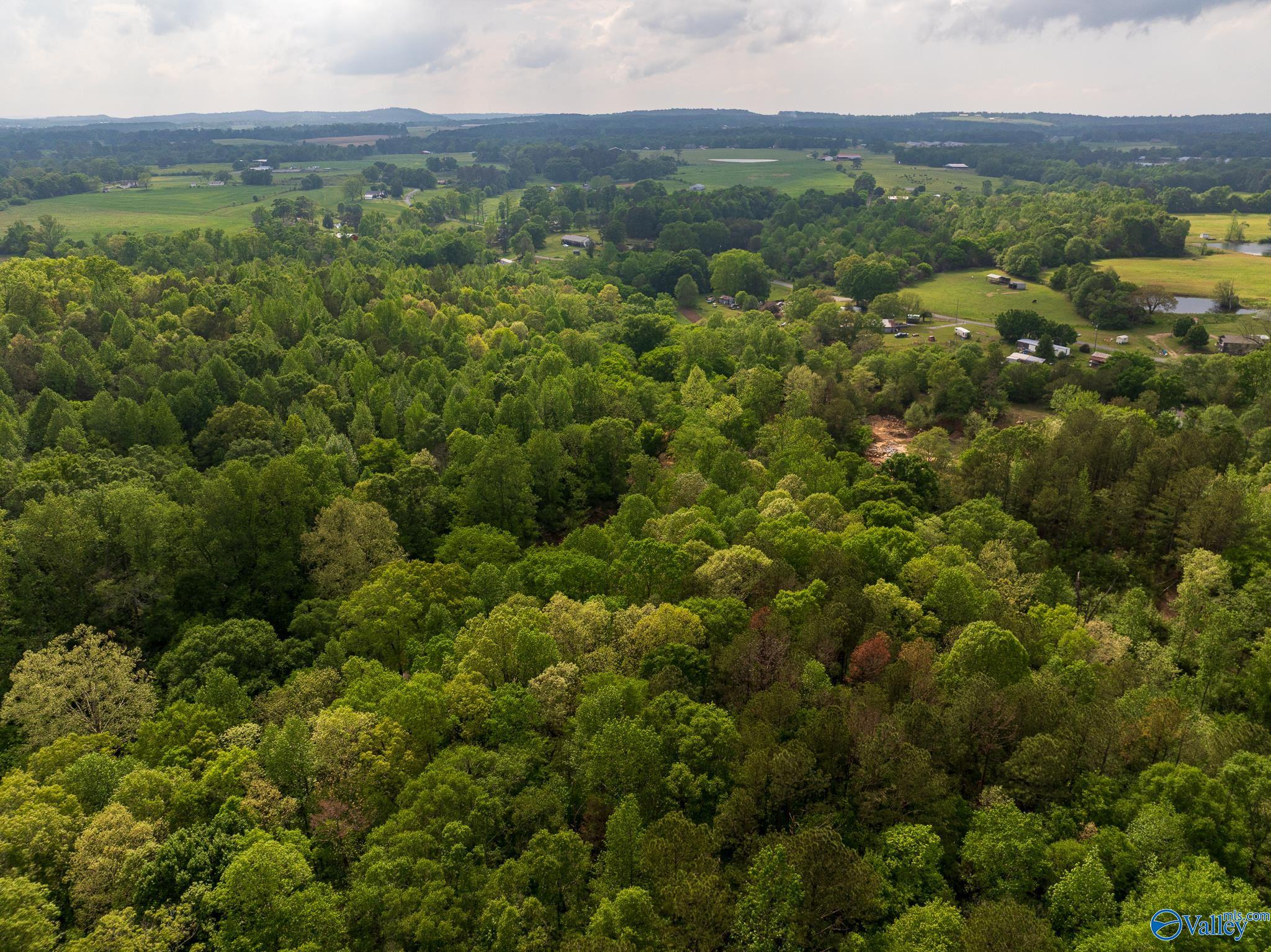 9.10+ ACRES Pleasant Grove Road, Horton, Alabama image 5