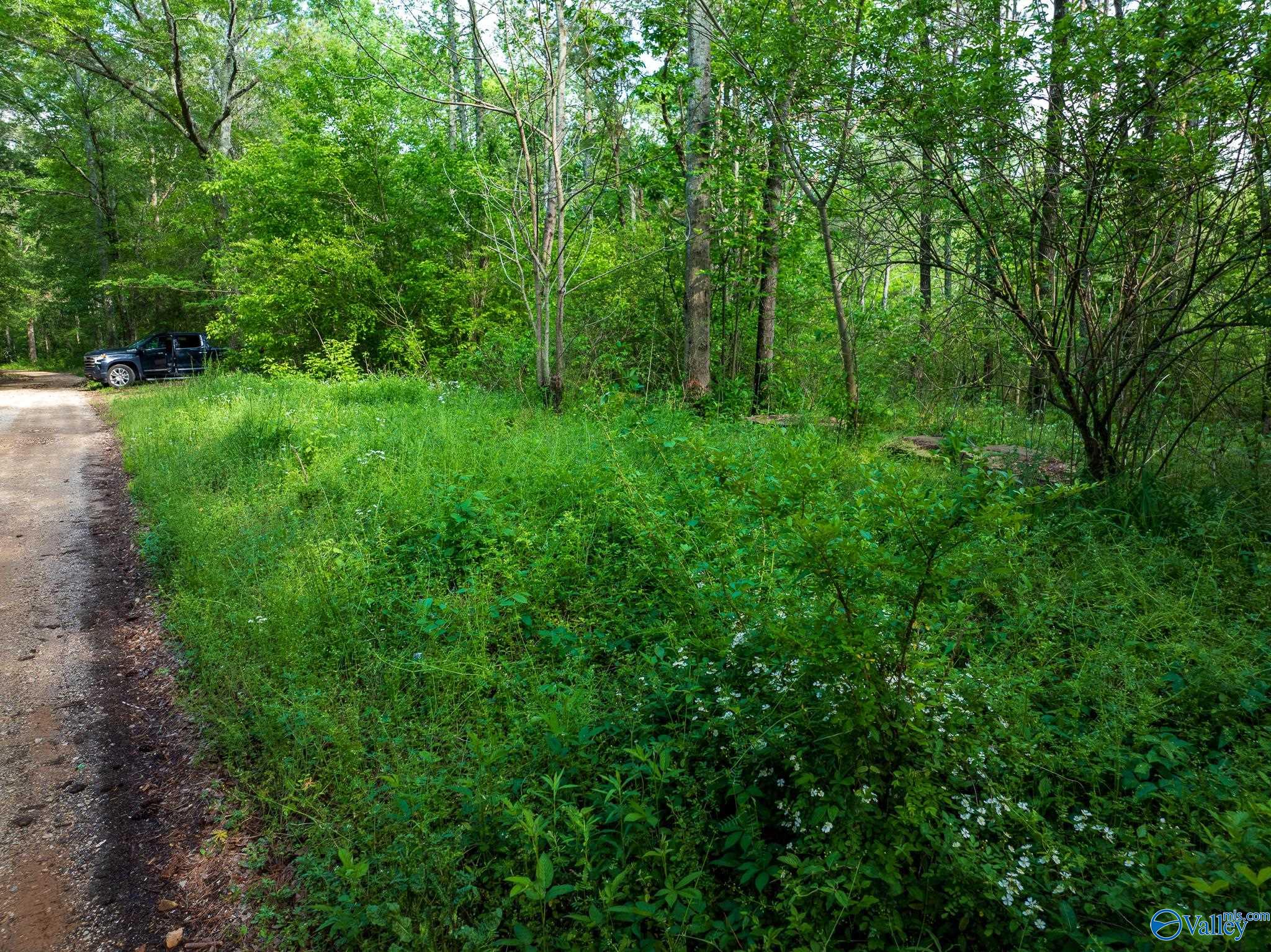 9.10+ ACRES Pleasant Grove Road, Horton, Alabama image 19