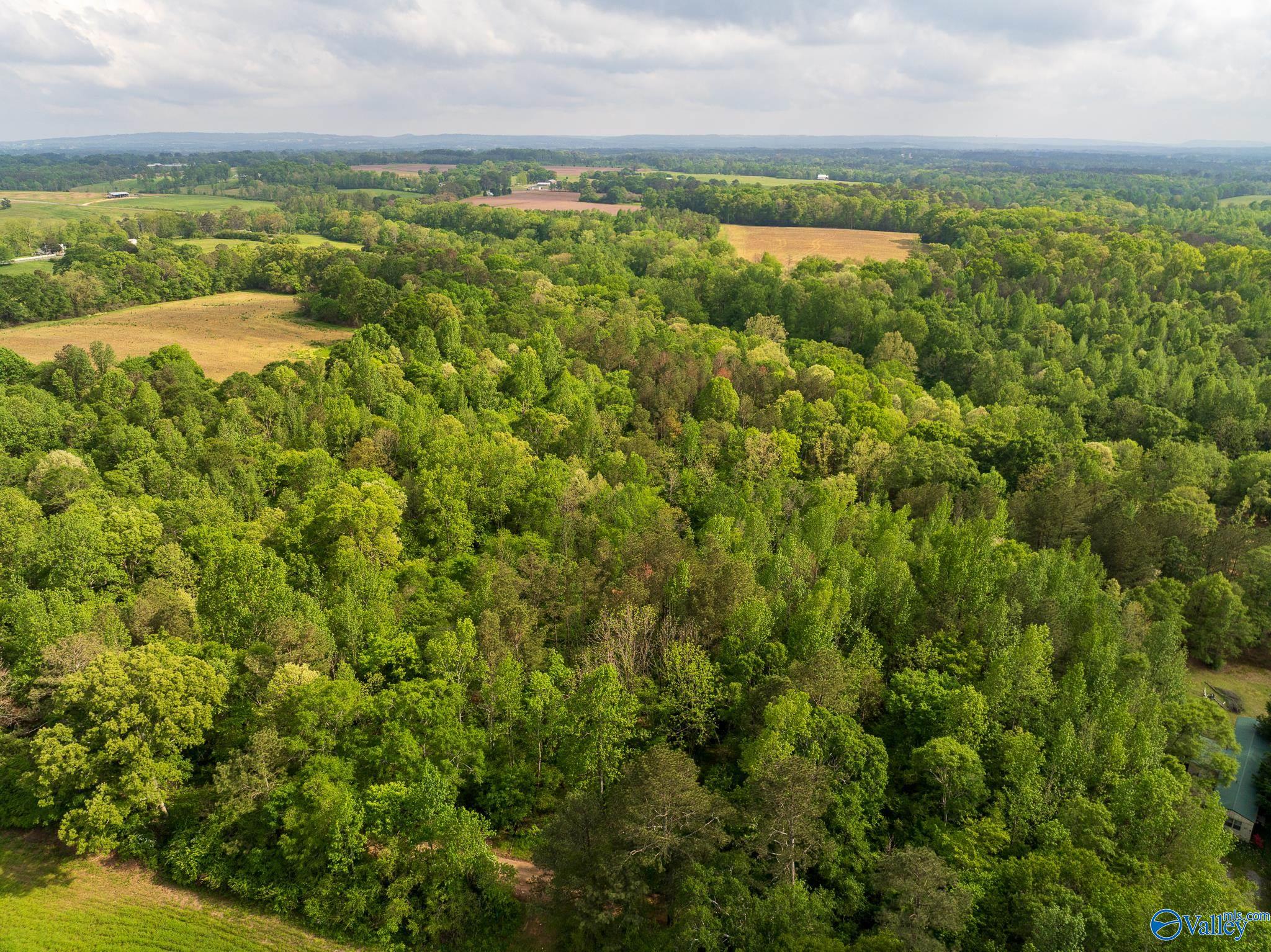9.10+ ACRES Pleasant Grove Road, Horton, Alabama image 3