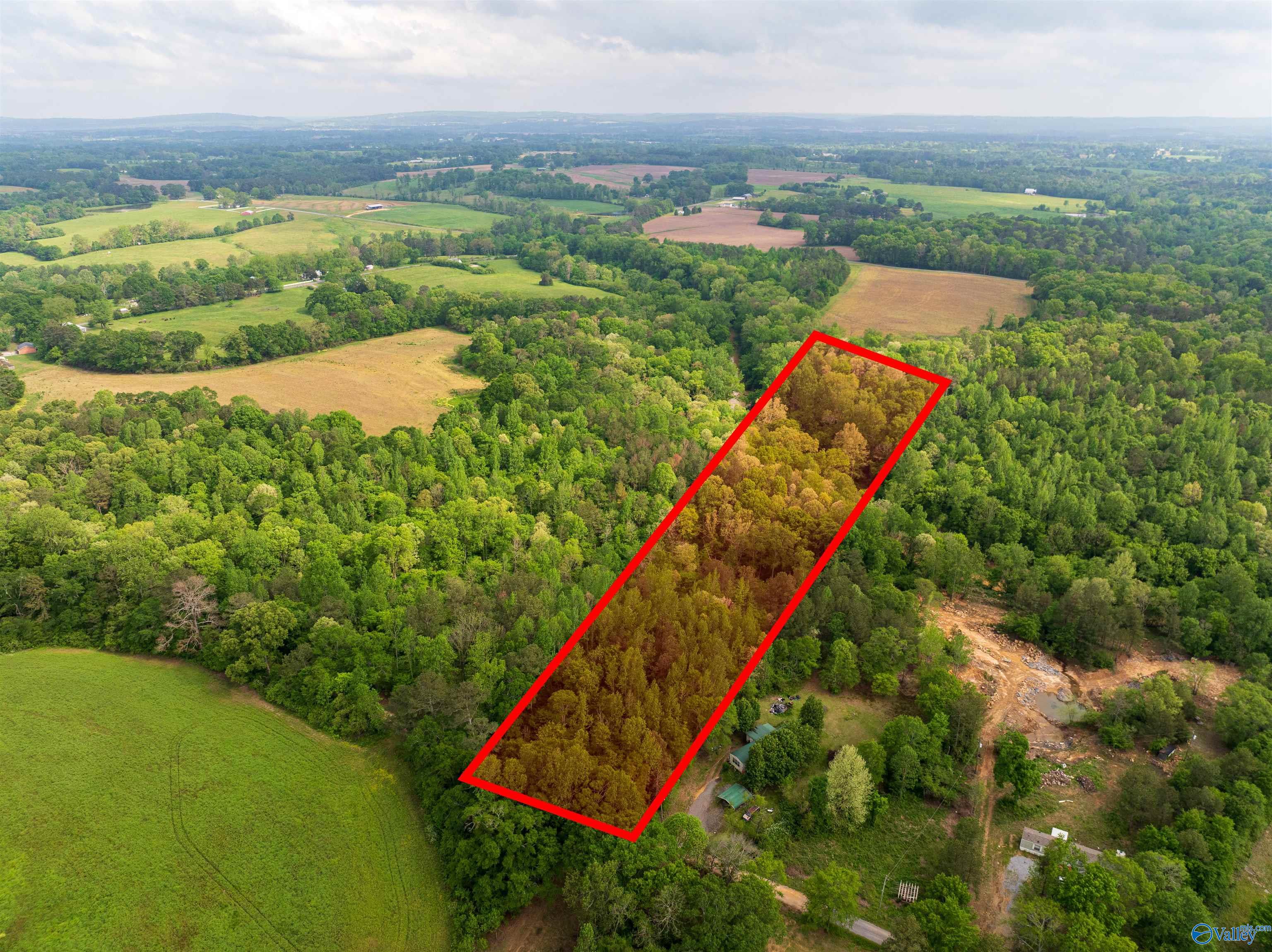 9.10+ ACRES Pleasant Grove Road, Horton, Alabama image 24