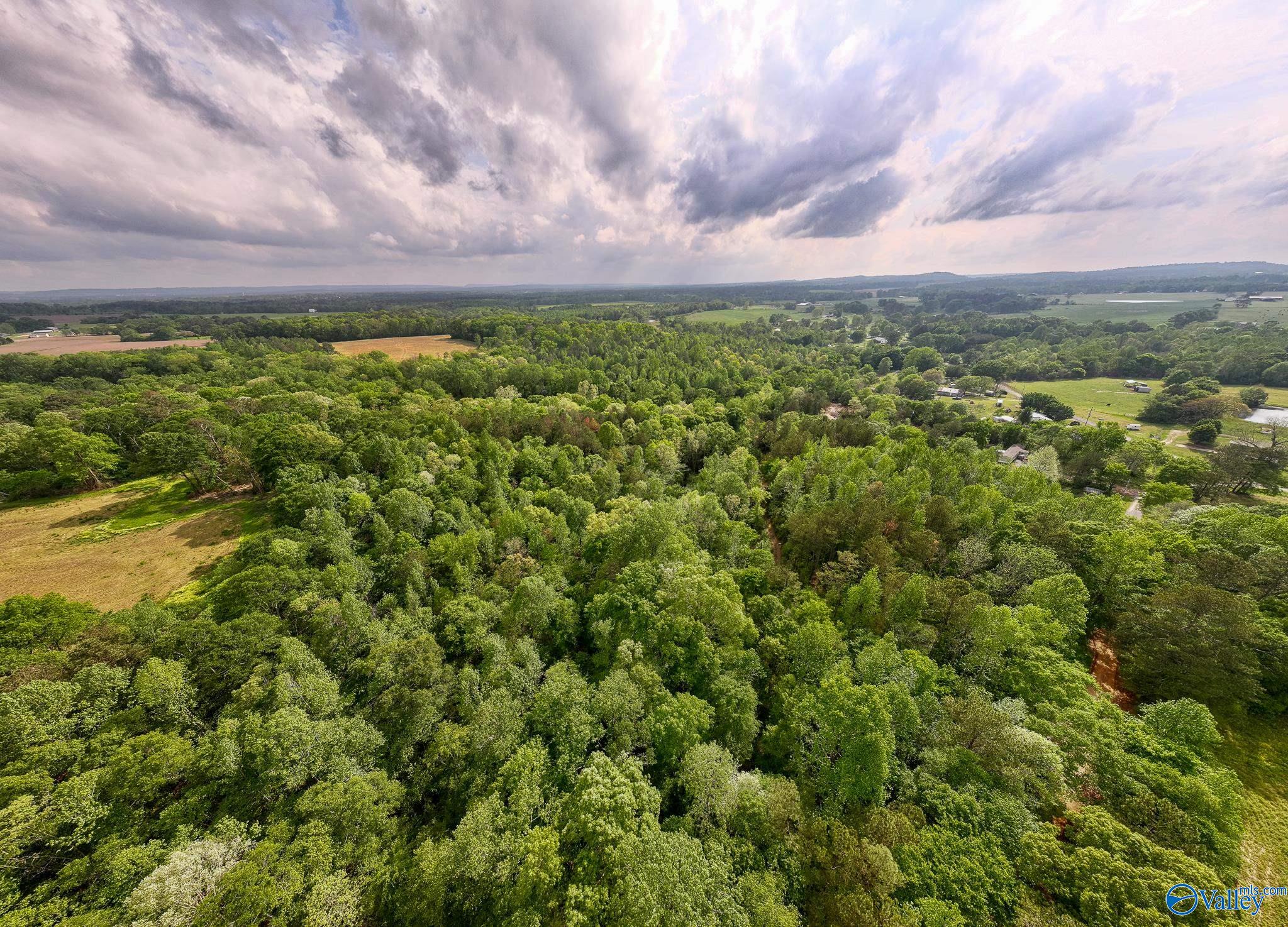9.10+ ACRES Pleasant Grove Road, Horton, Alabama image 14