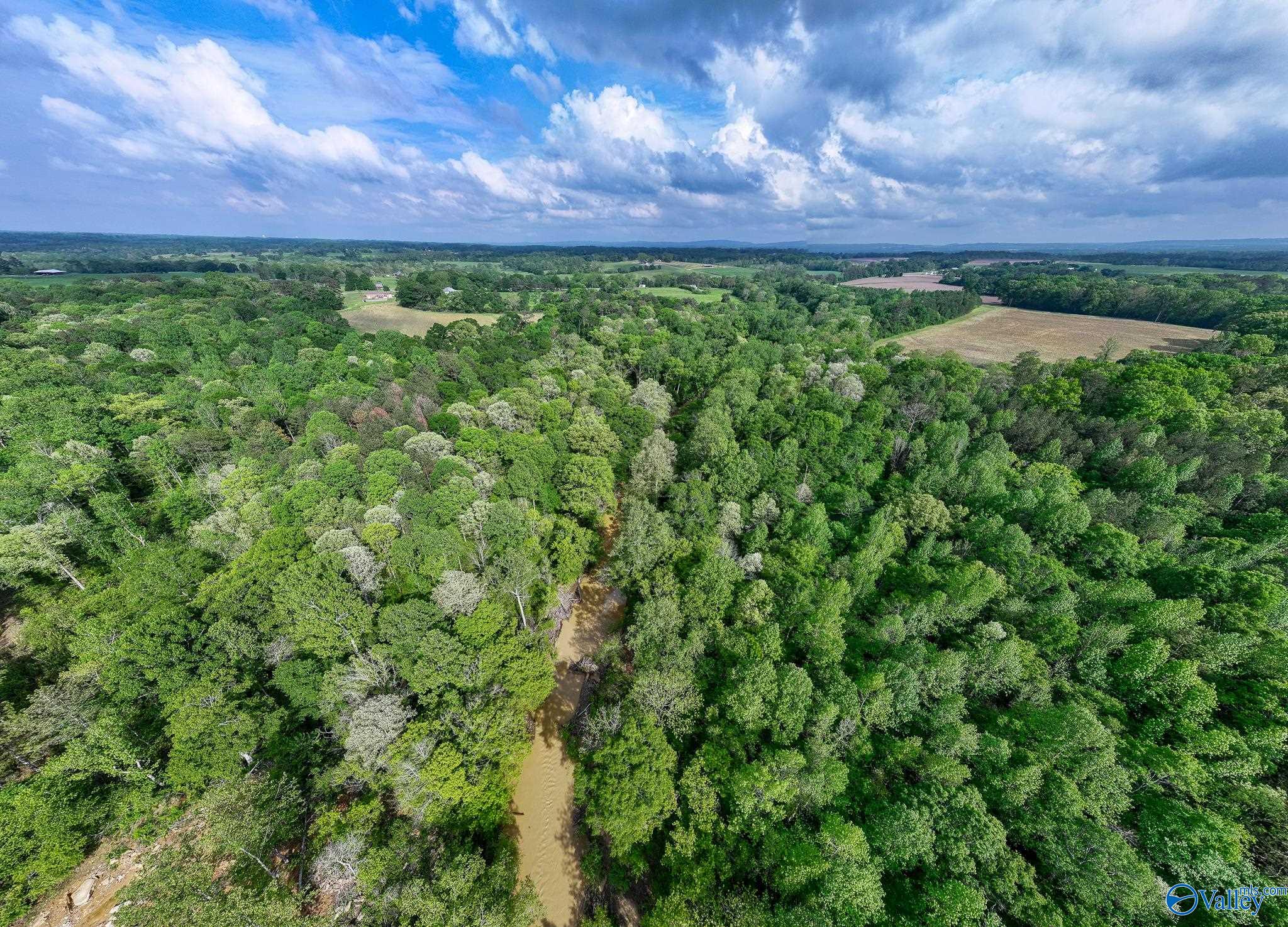 9.10+ ACRES Pleasant Grove Road, Horton, Alabama image 12
