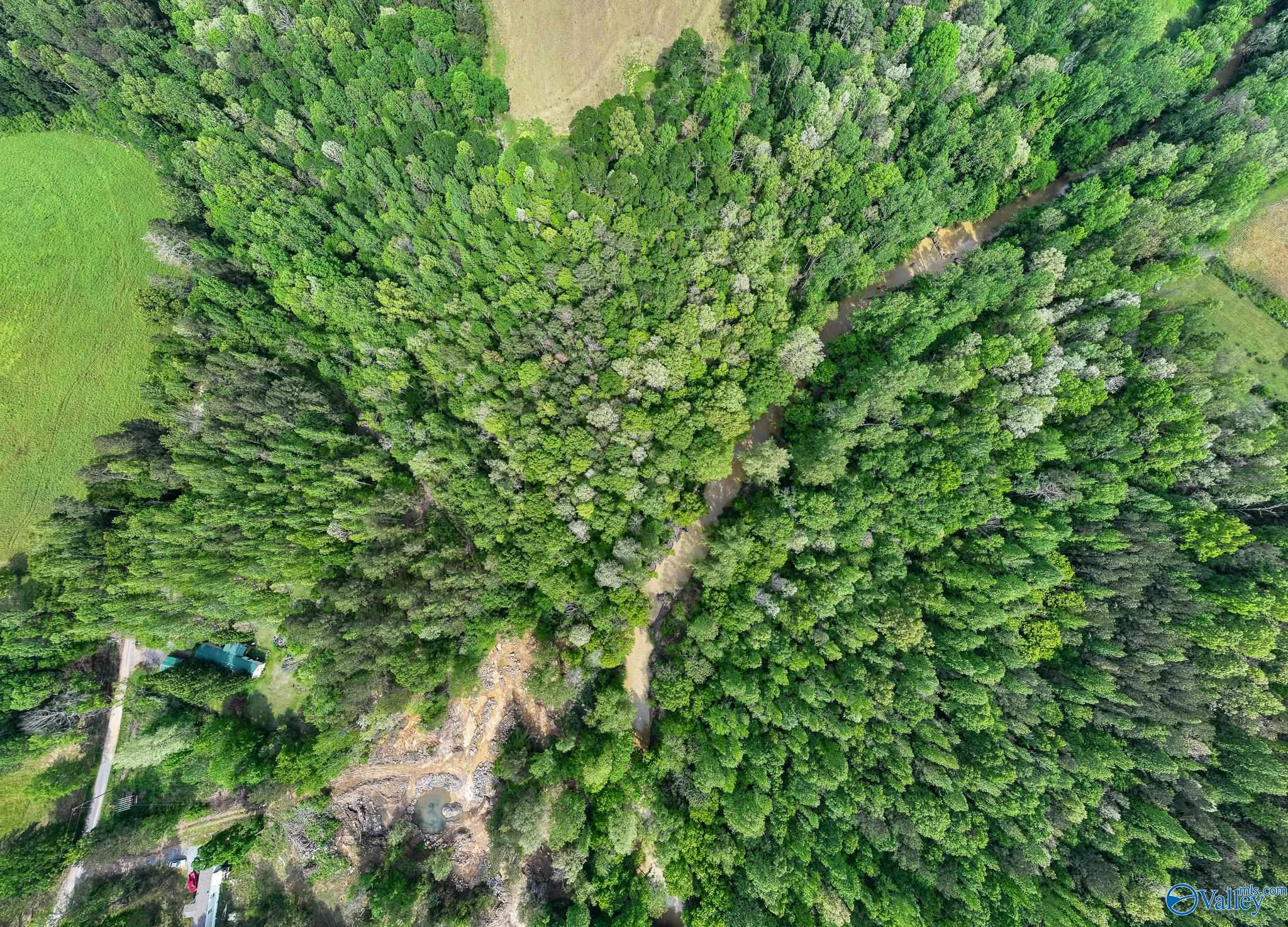 9.10+ ACRES Pleasant Grove Road, Horton, Alabama image 8