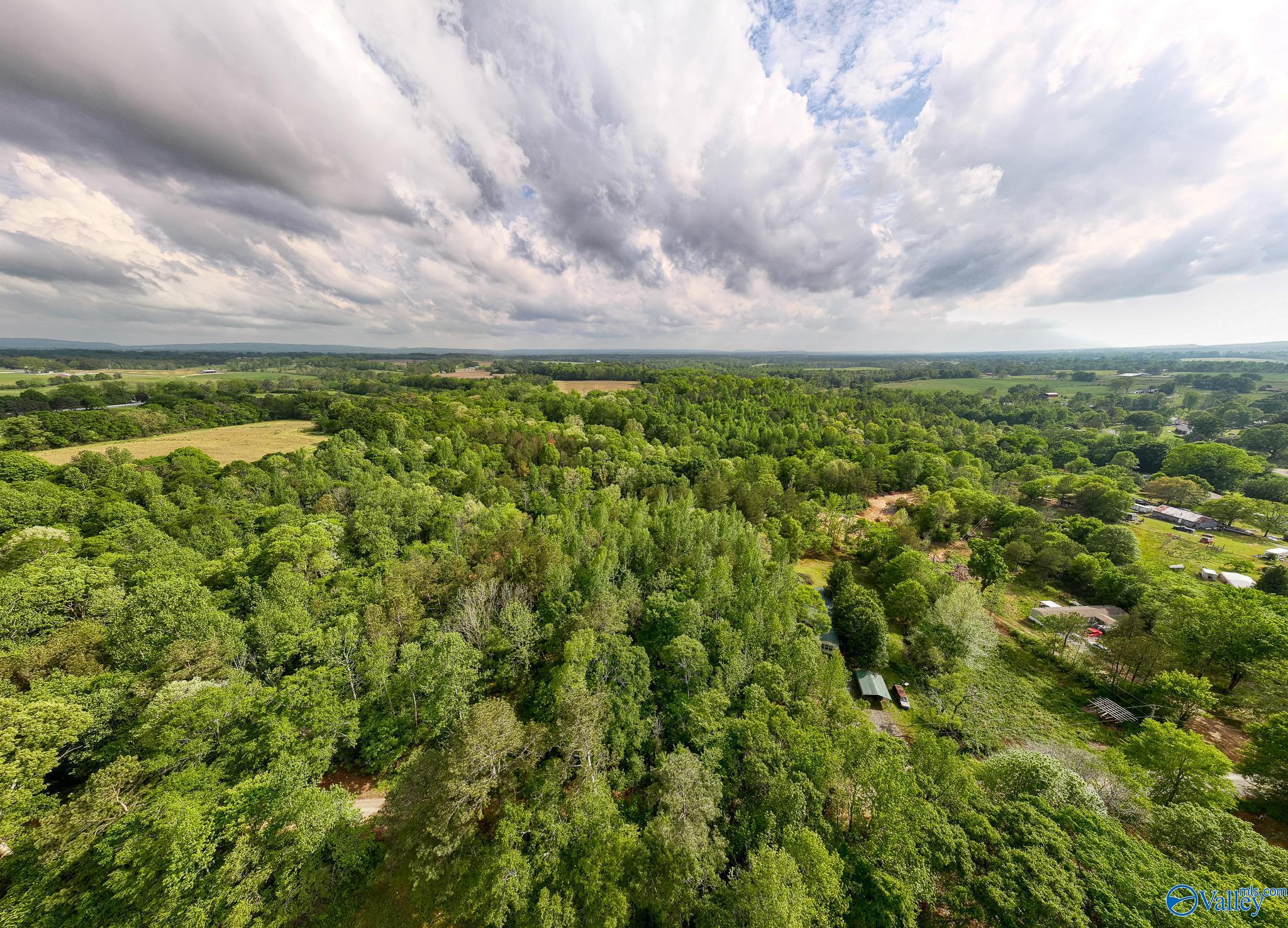 9.10+ ACRES Pleasant Grove Road, Horton, Alabama image 10