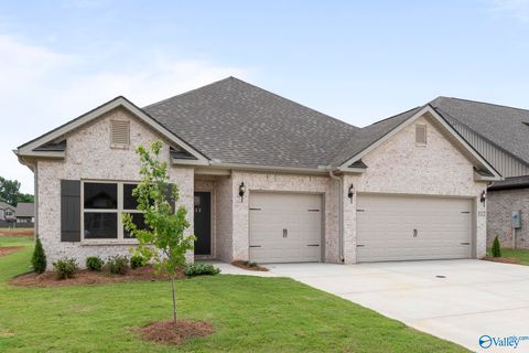 Homes For Sale - 131 Hillis Lane<br/> Hazel Green, AL 35750