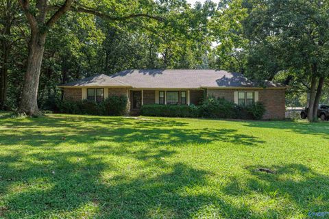 Photo of 222 Dee Ann Road, Trinity, AL 35673 (MLS # 21912358)