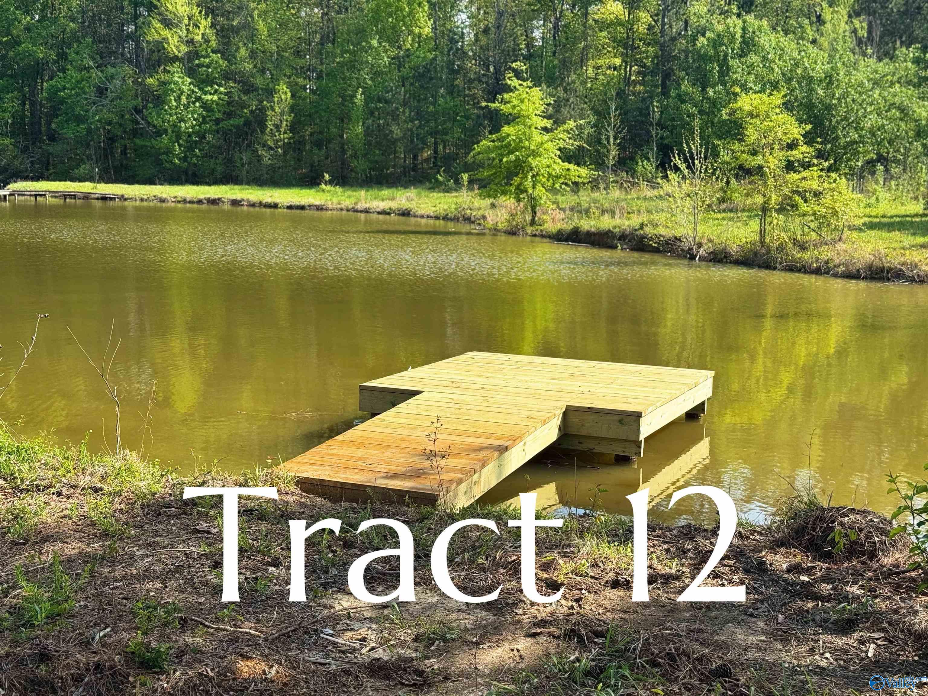 Tract 12 County Road 534, Centre, Alabama image 1