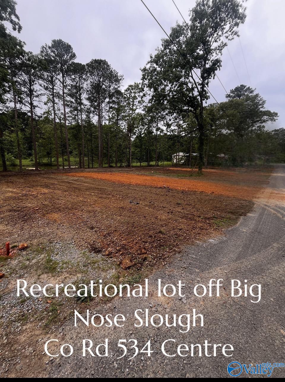 Tract 12 County Road 534, Centre, Alabama image 5