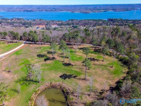 Lot 3 Mccorkle Mountain Road Scottsboro AL 35679