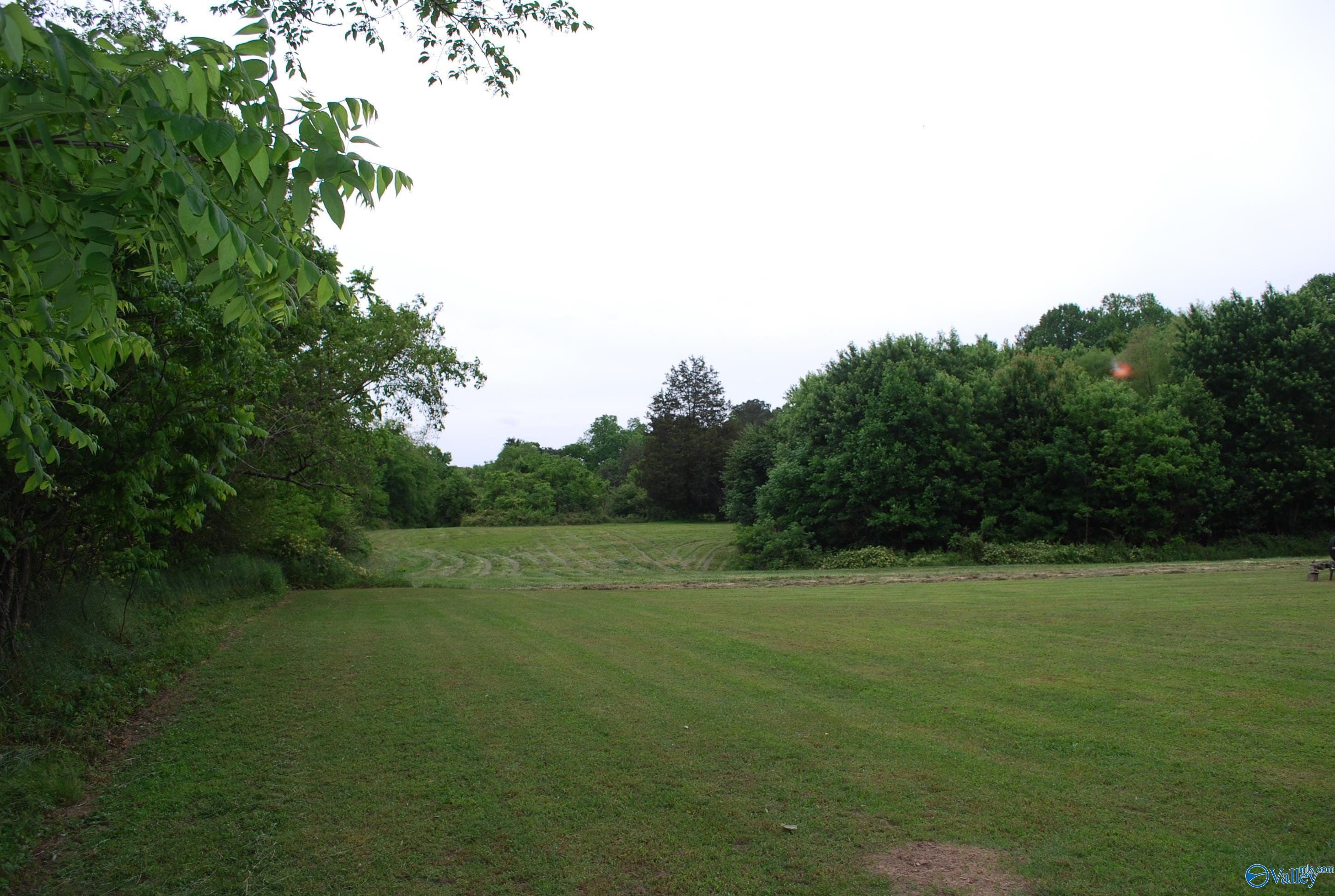 4400 County Road 140, Ider, Alabama image 6