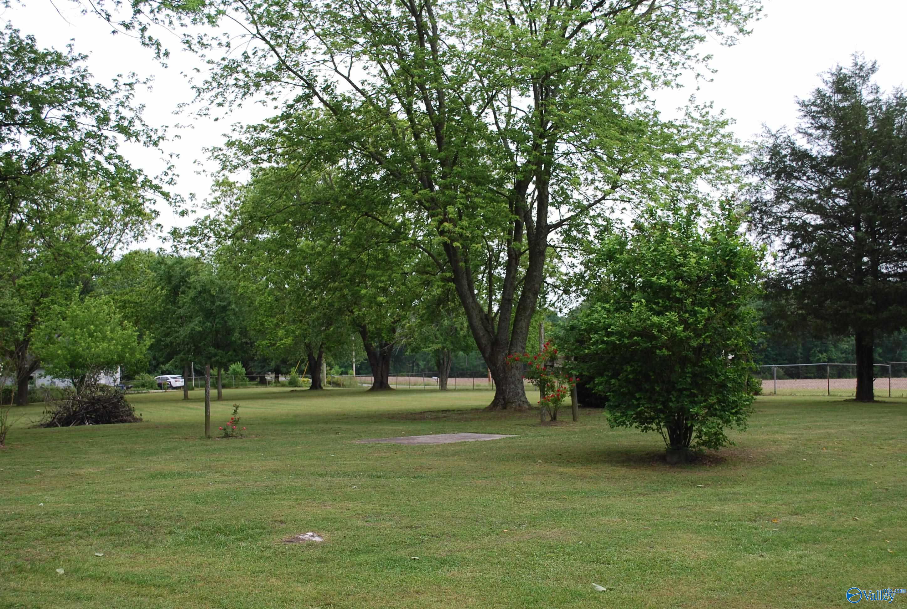 4400 County Road 140, Ider, Alabama image 20