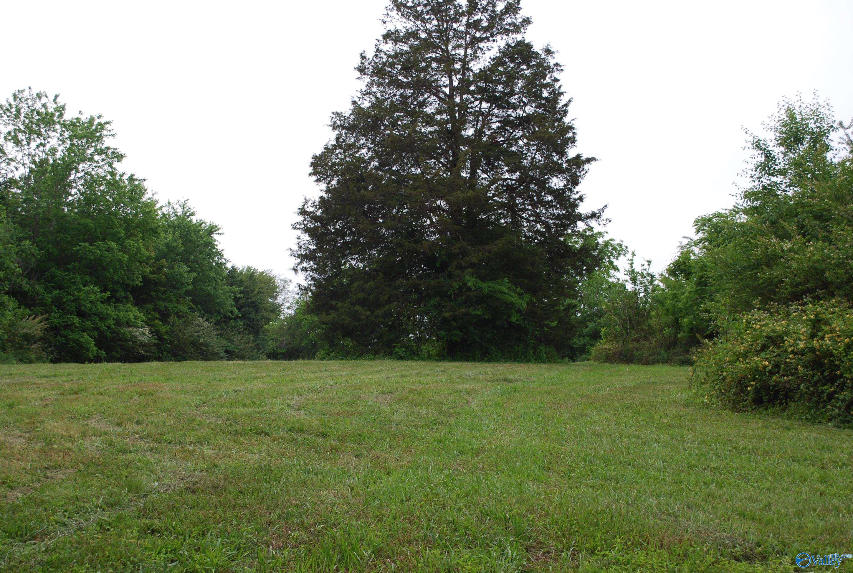 4400 County Road 140, Ider, Alabama image 32