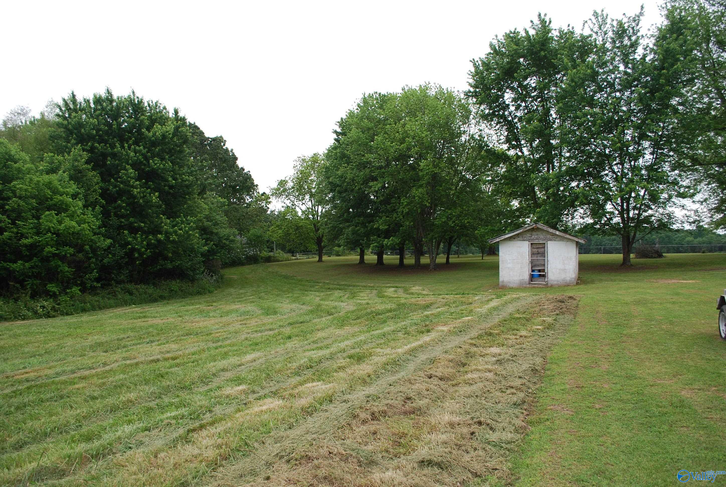 4400 County Road 140, Ider, Alabama image 12