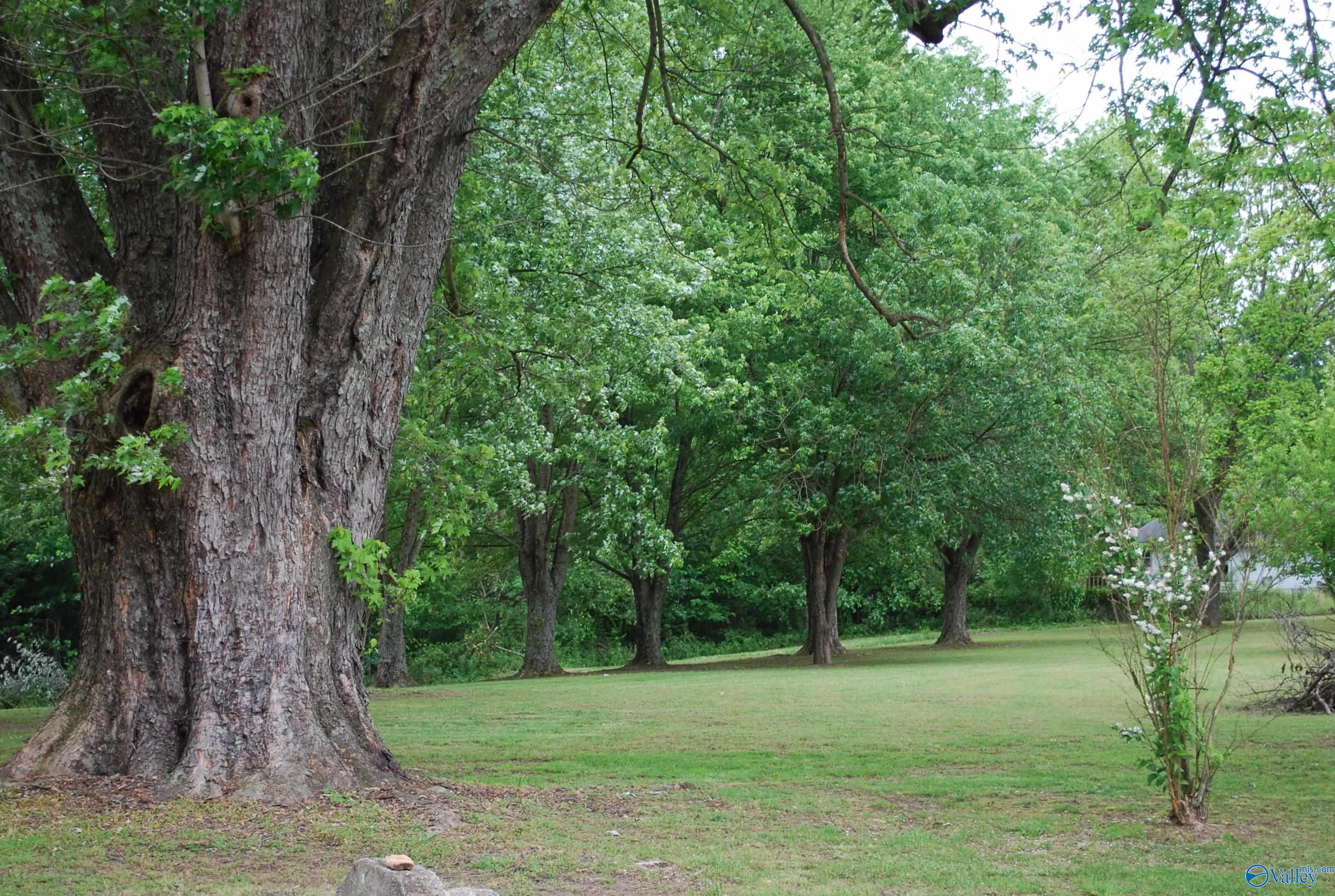 4400 County Road 140, Ider, Alabama image 29