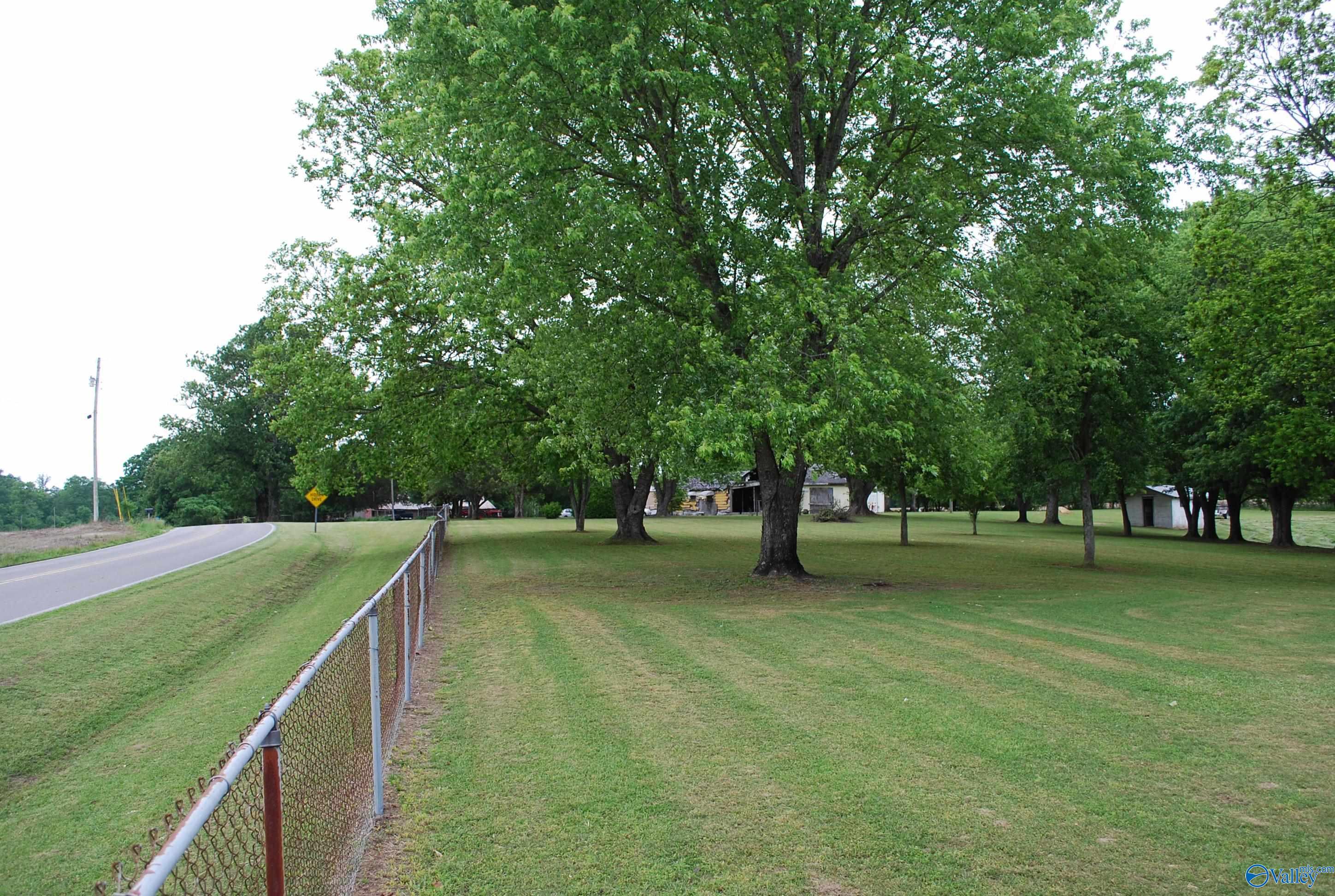 4400 County Road 140, Ider, Alabama image 14
