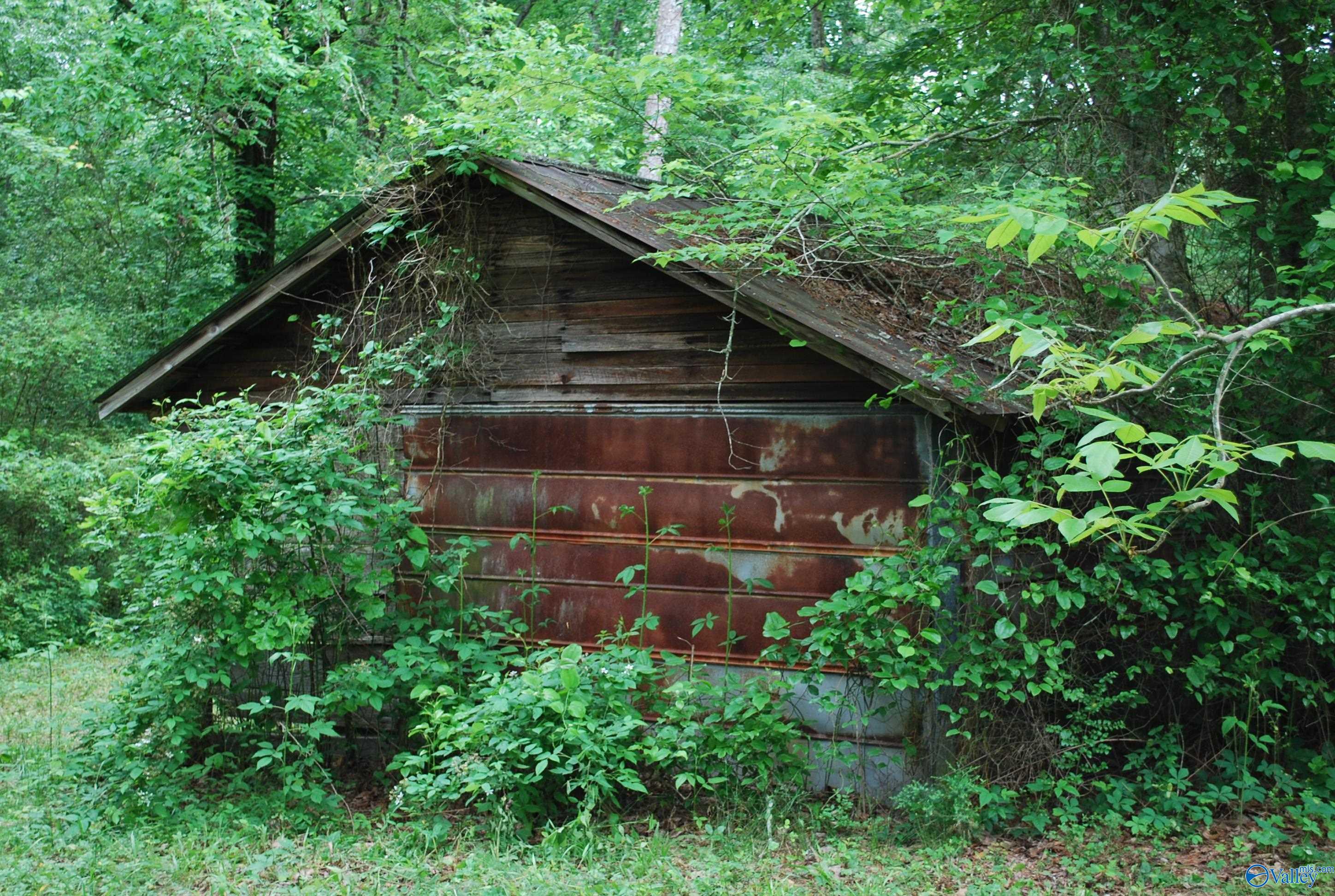 4400 County Road 140, Ider, Alabama image 31