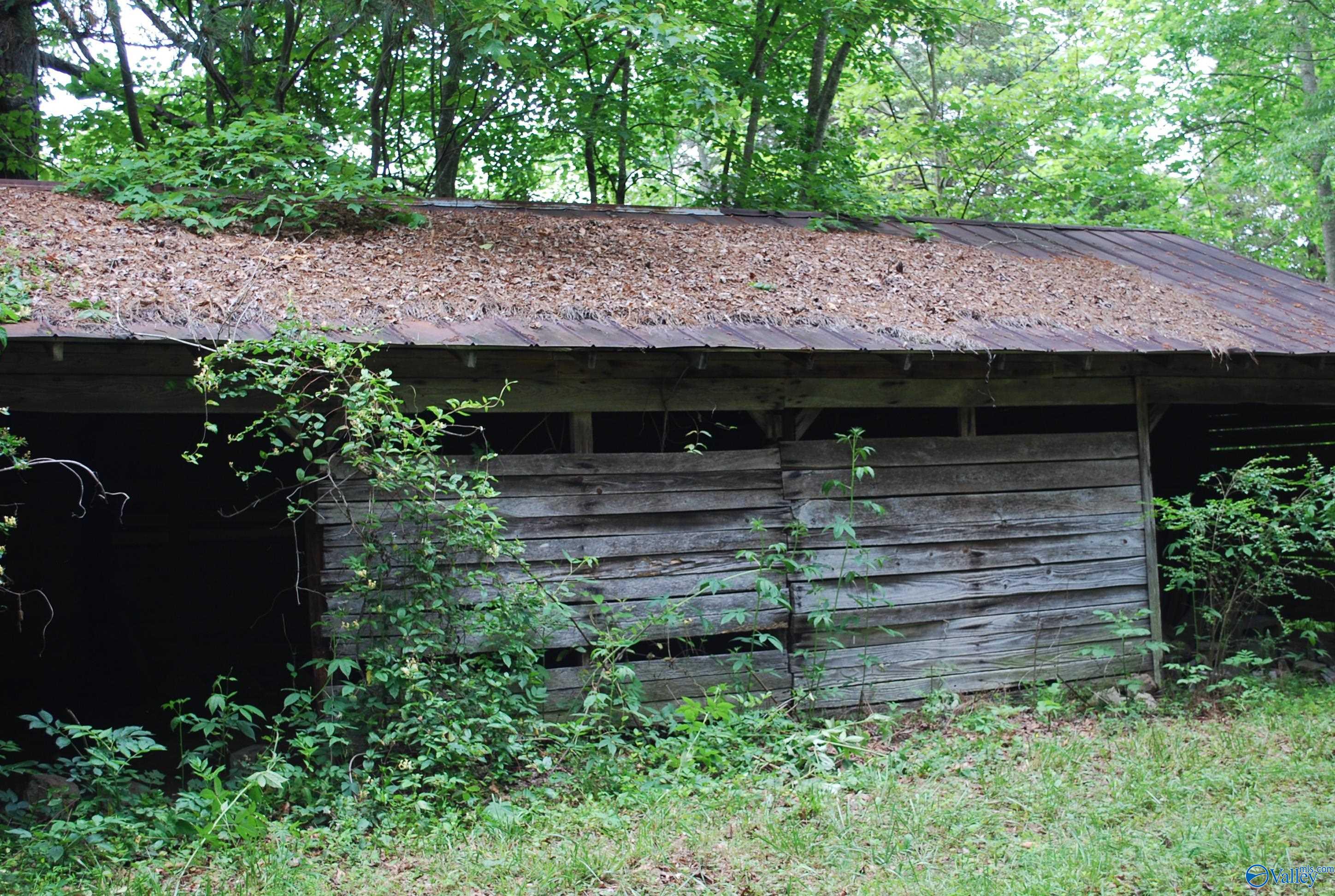 4400 County Road 140, Ider, Alabama image 30