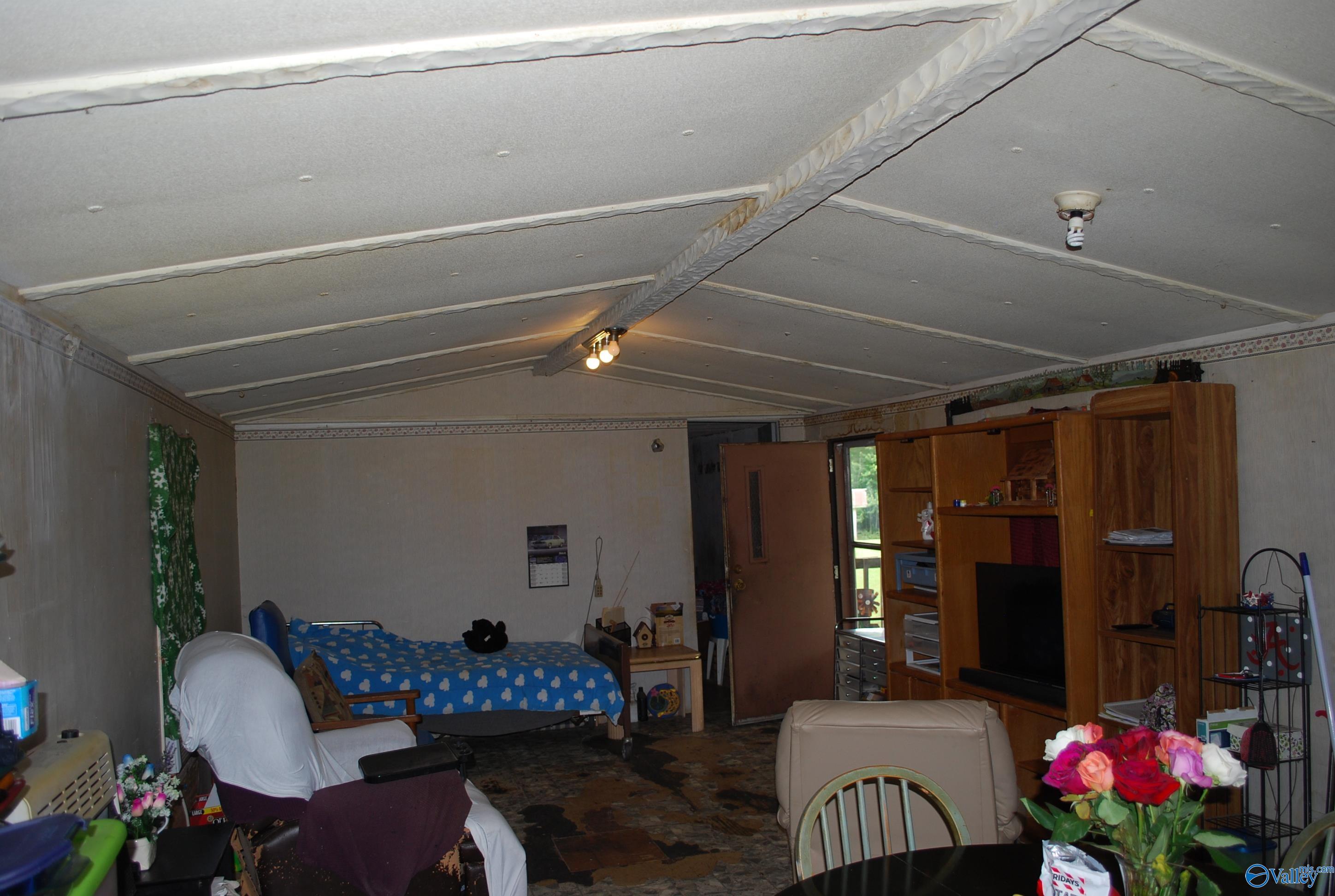 4400 County Road 140, Ider, Alabama image 25