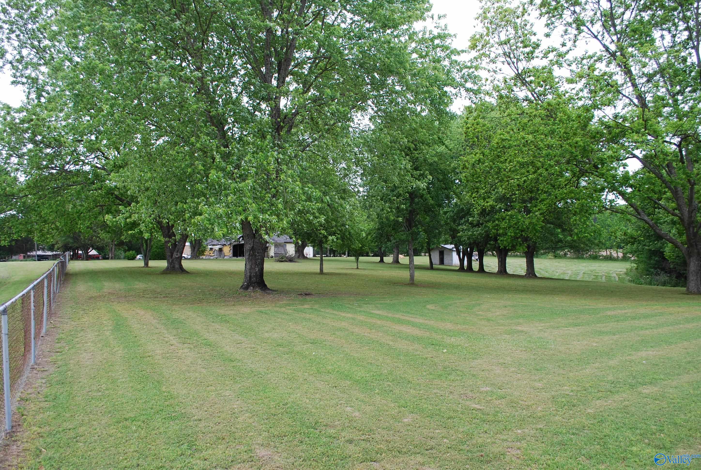 4400 County Road 140, Ider, Alabama image 16