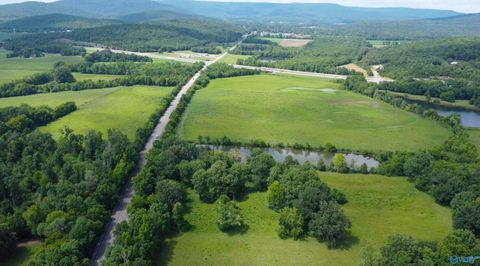 Vacant Land For Sale - 32 ACRES Cathedral Caverns Highway<br/> Woodville, AL 35776