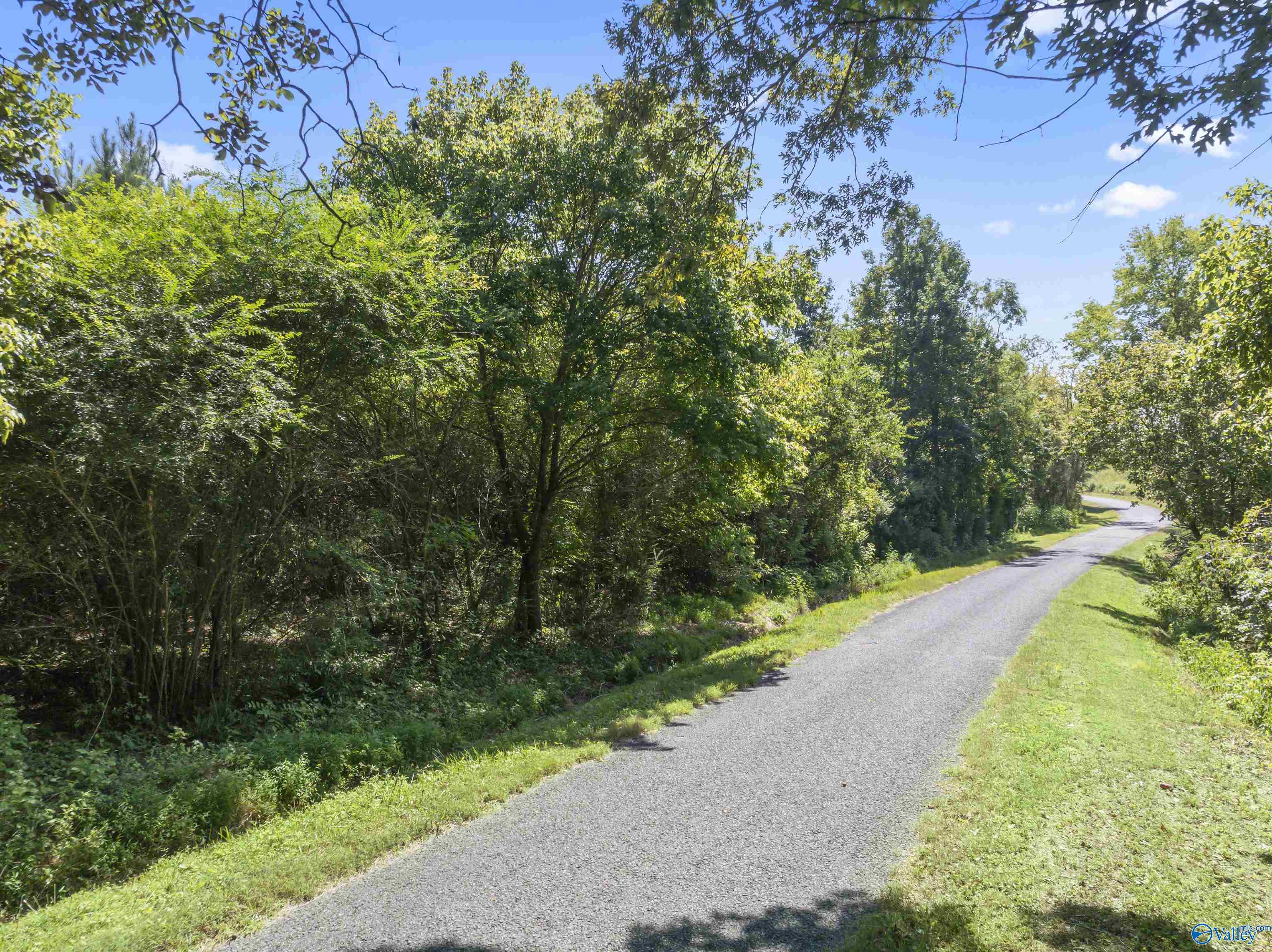 26.53 Acres Strange Road, Horton, Alabama image 10