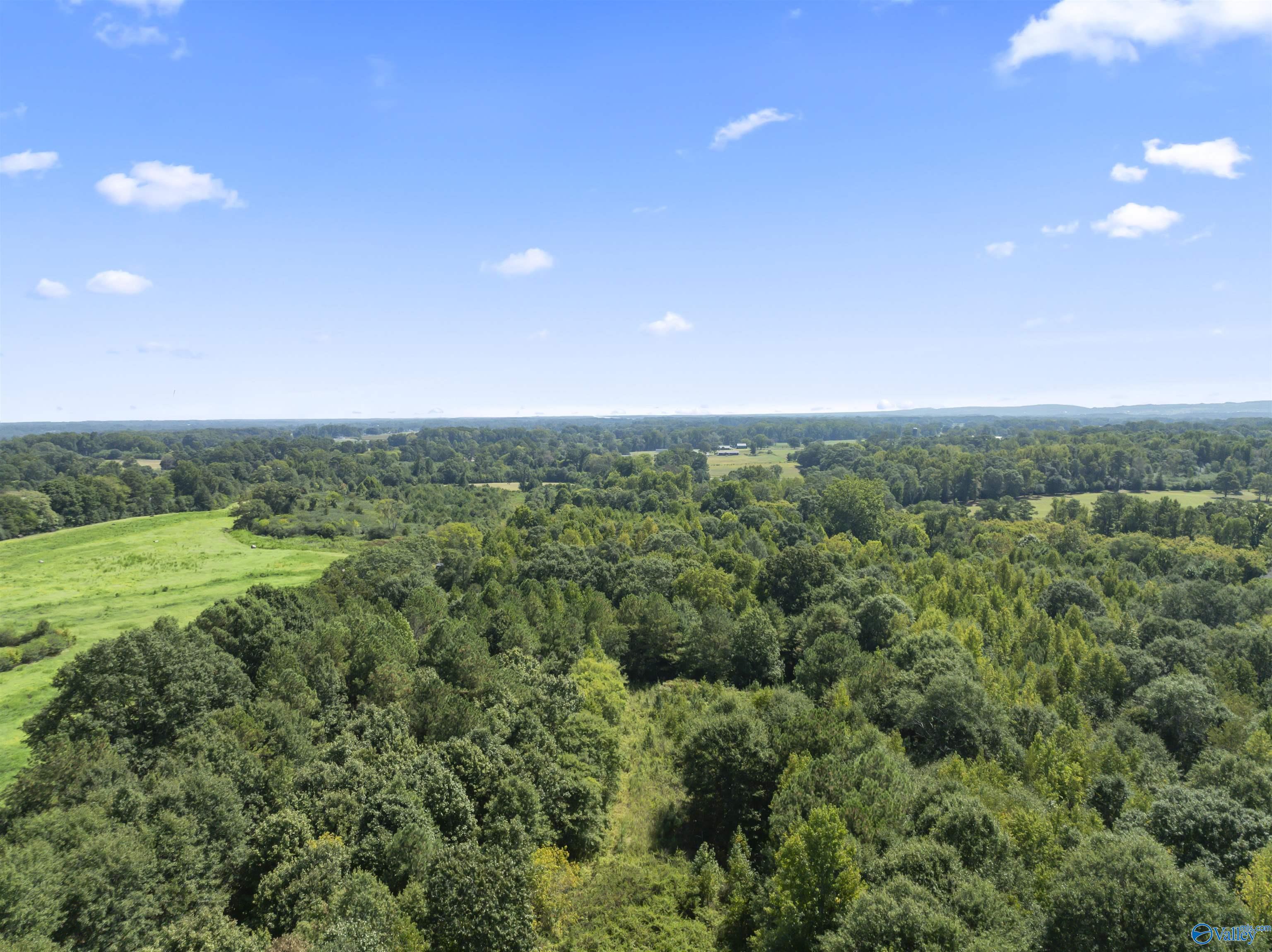 26.53 Acres Strange Road, Horton, Alabama image 3