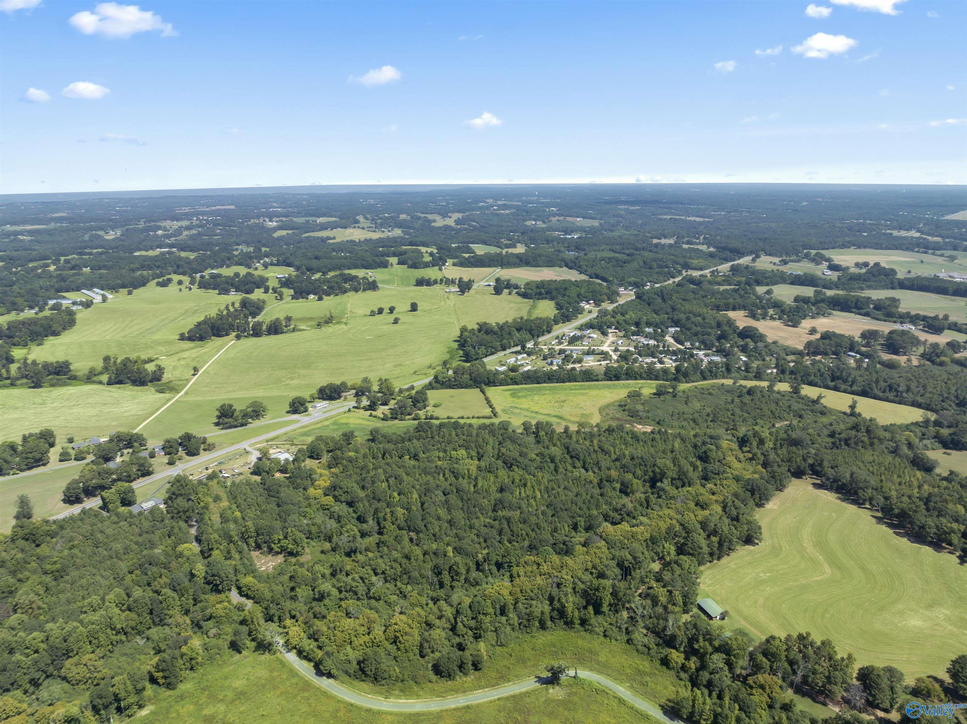 26.53 Acres Strange Road, Horton, Alabama image 6