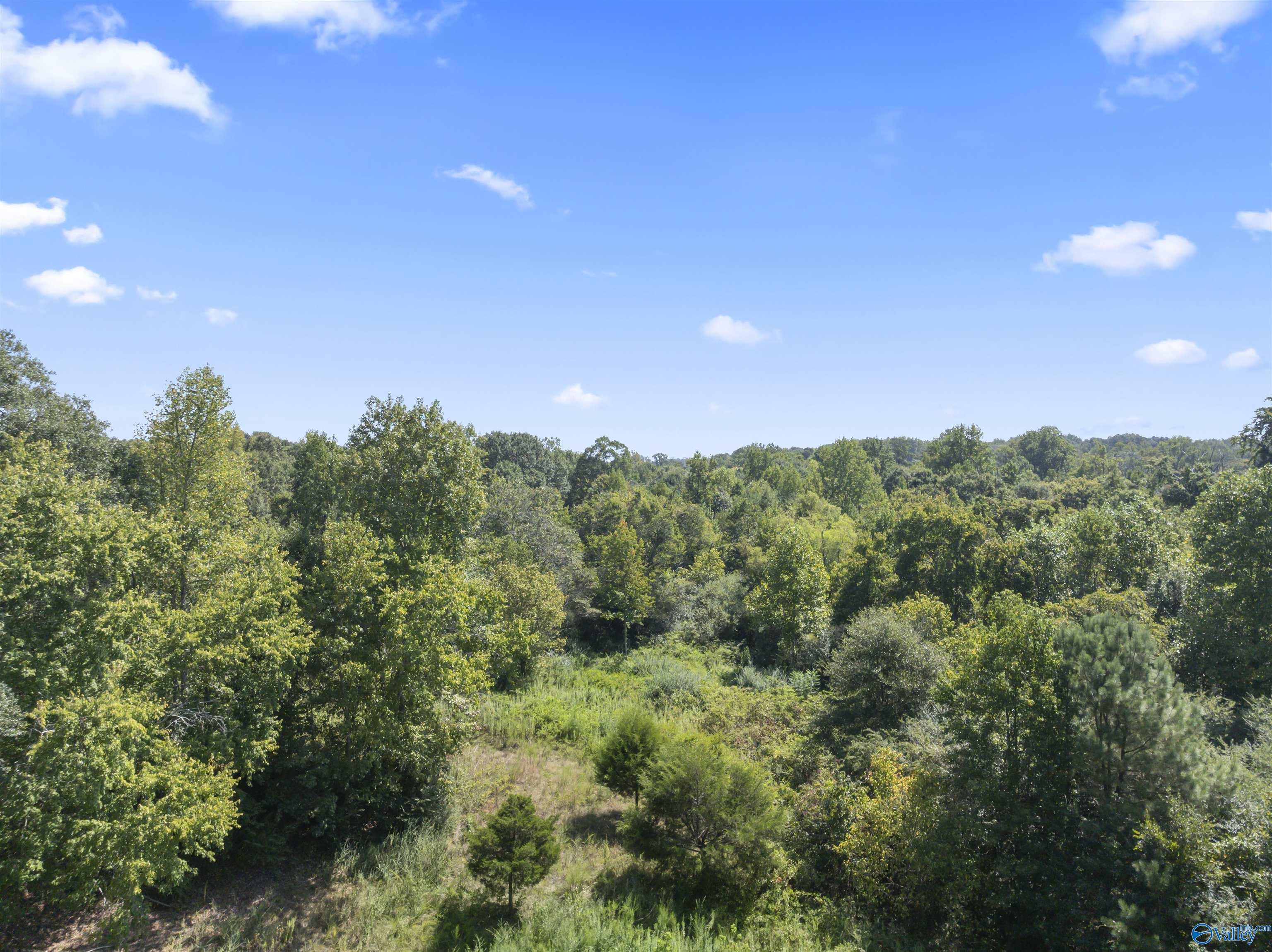 26.53 Acres Strange Road, Horton, Alabama image 7