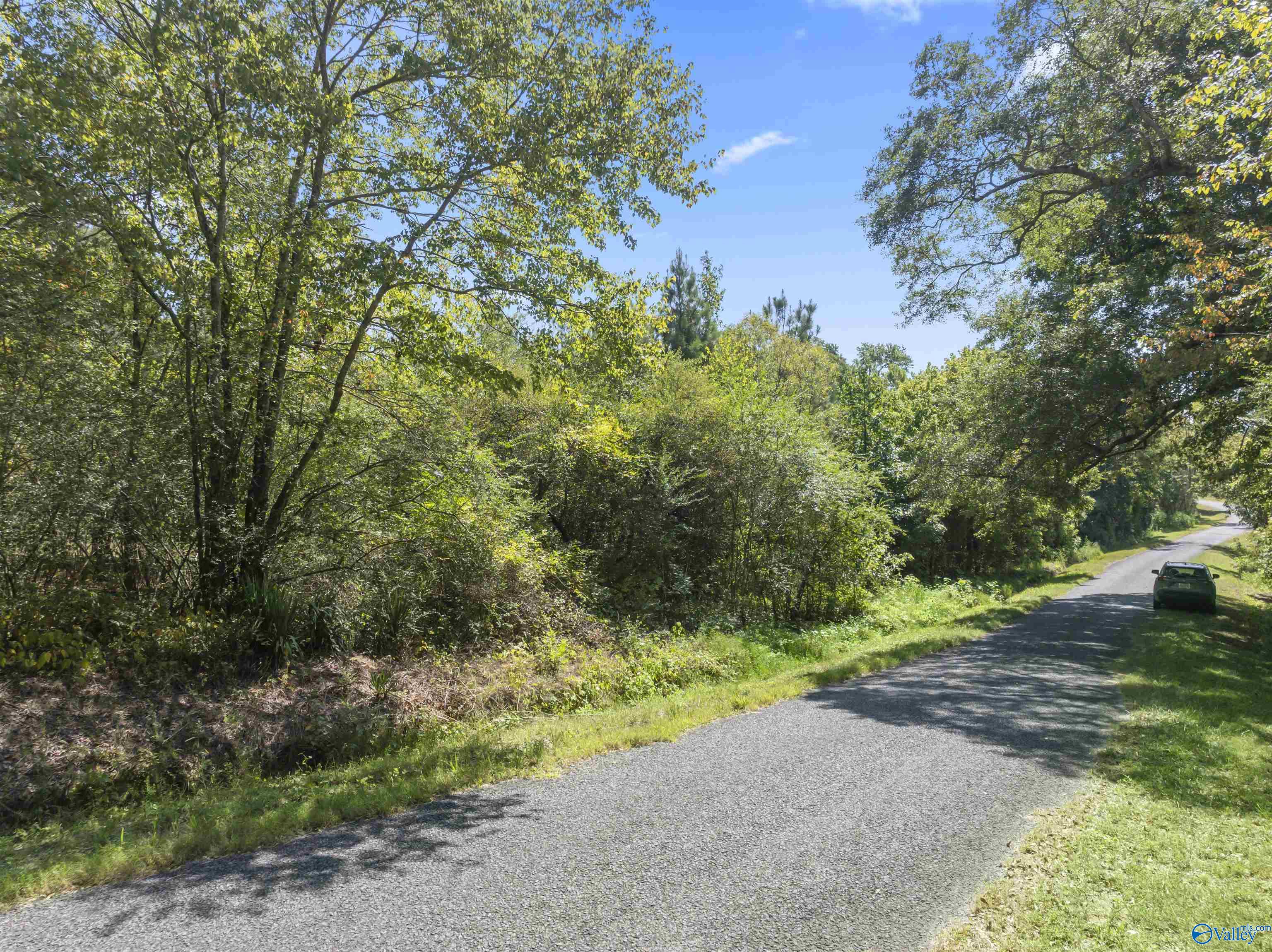 26.53 Acres Strange Road, Horton, Alabama image 8