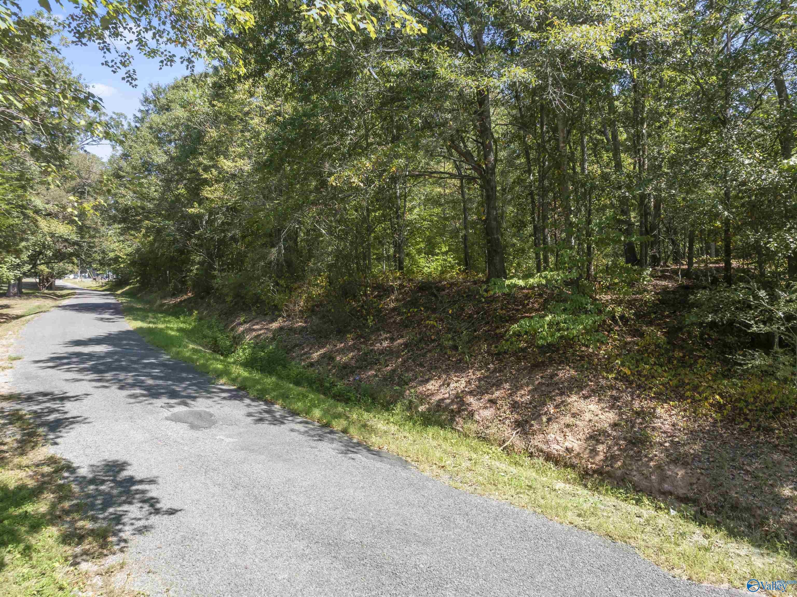 26.53 Acres Strange Road, Horton, Alabama image 9