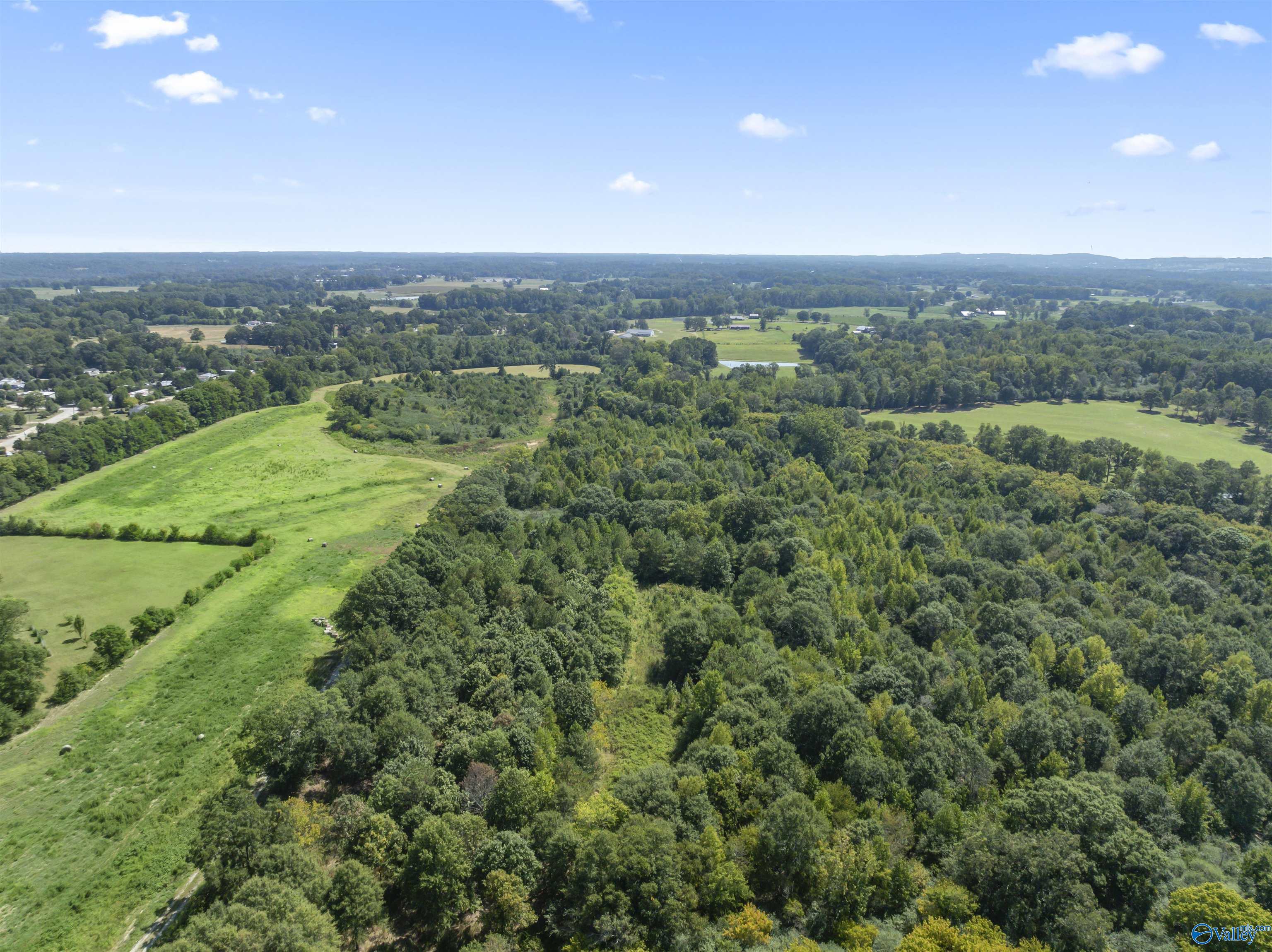 26.53 Acres Strange Road, Horton, Alabama image 13