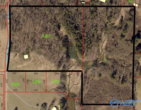 Vacant Land For Sale - 24 ACRES County Road 1653<br/> Cullman County, Cullman, AL 35058