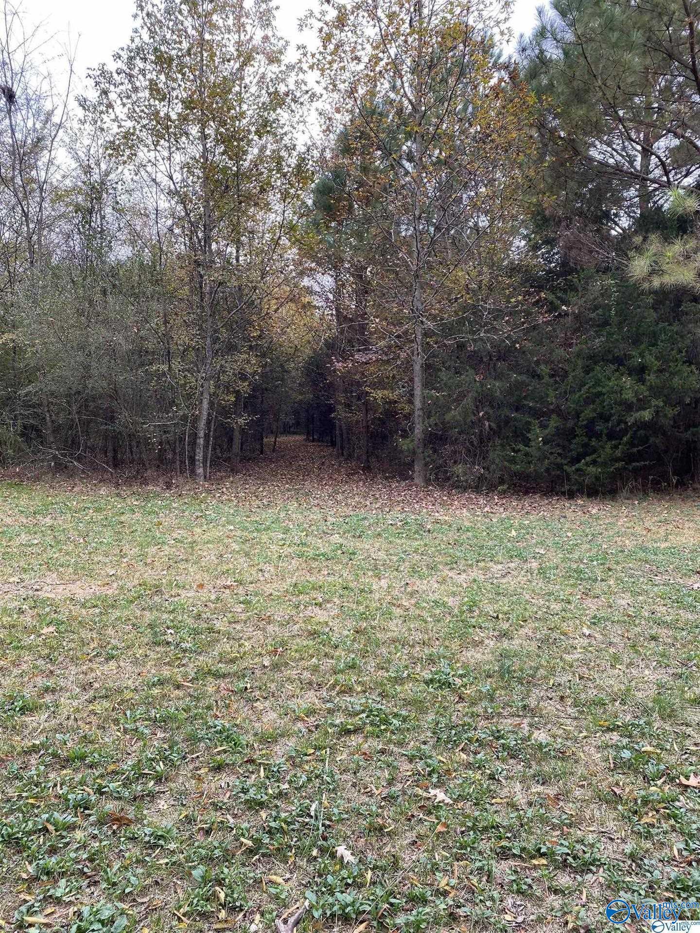 Lot 0 Yancy Lamb Drive, New Market, Alabama image 3